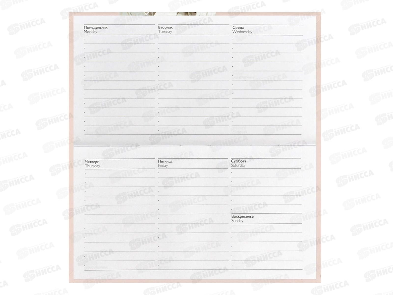 Еженедельник ФЕН недат.,64л, Мишка с кофе,71564*45