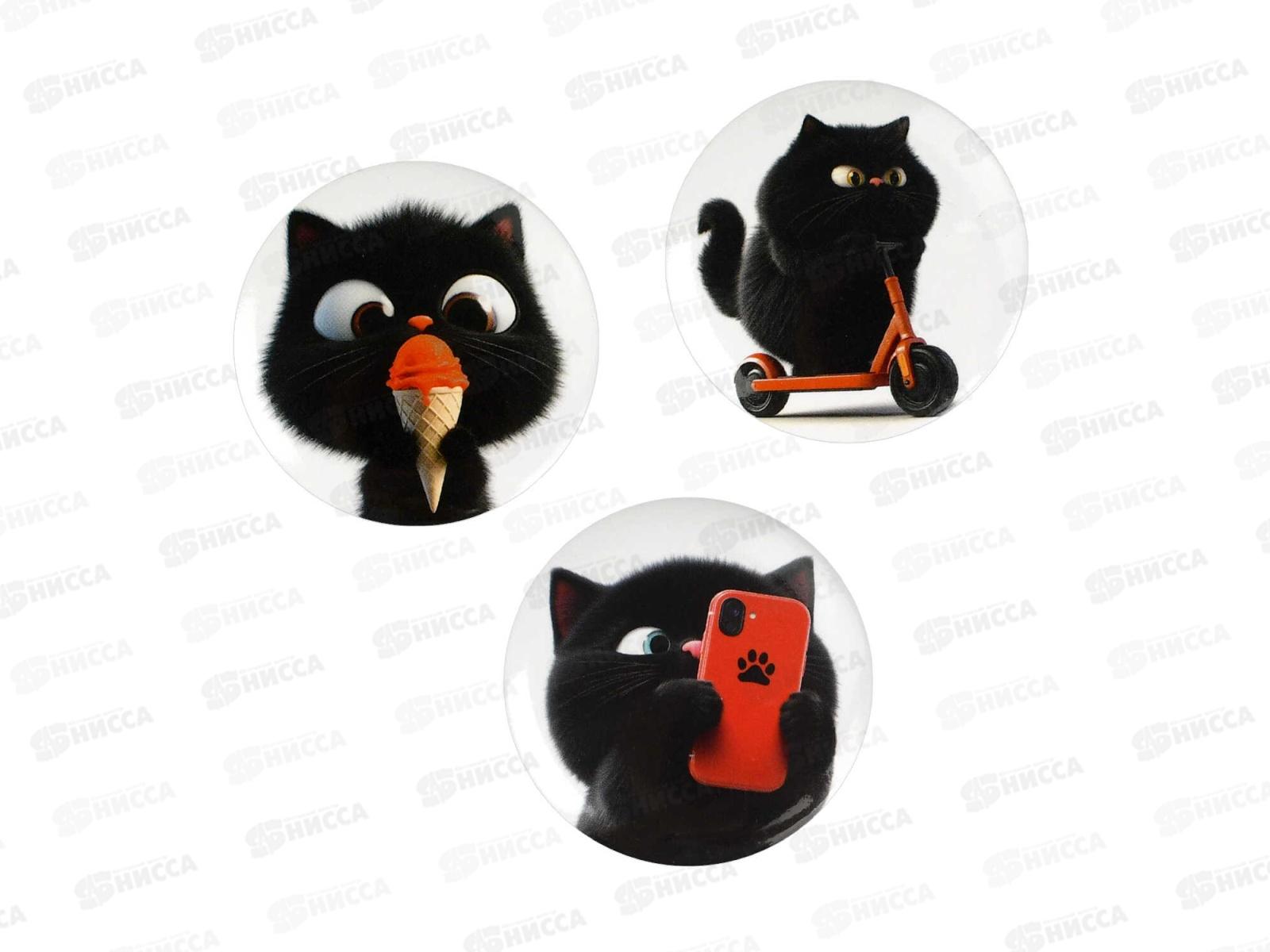 Значок ФЕН (3шт) Черный кот,71099*42