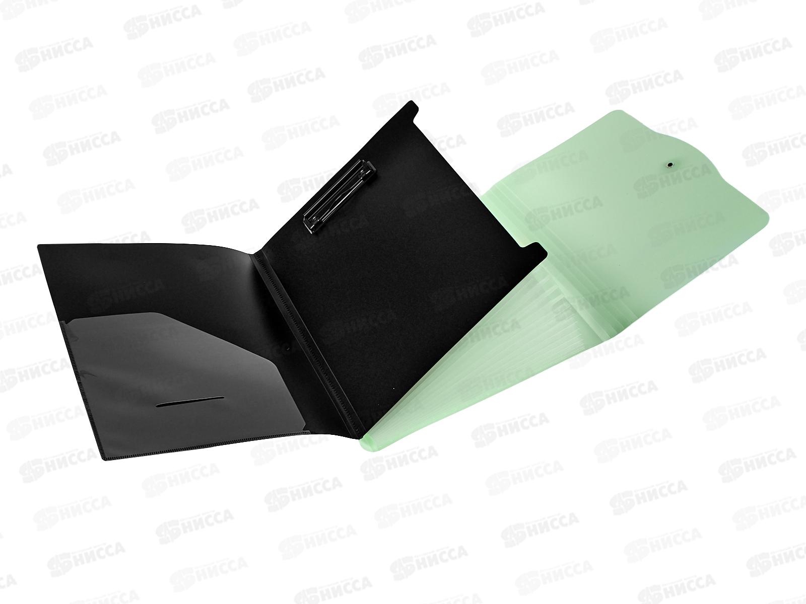 Папка-картотека А4  Alingar 13отд.мятный клапан,AL12822