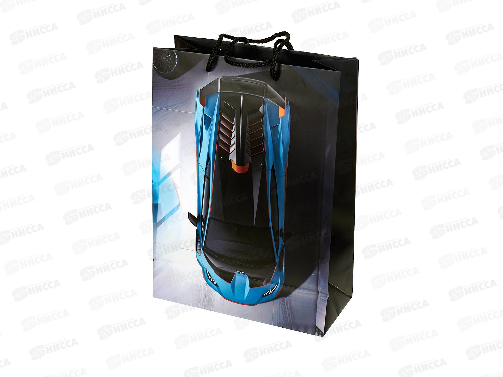 Пакет подарочный 22х31х10см ml Матовый Спорткар PML-102344-LG *12