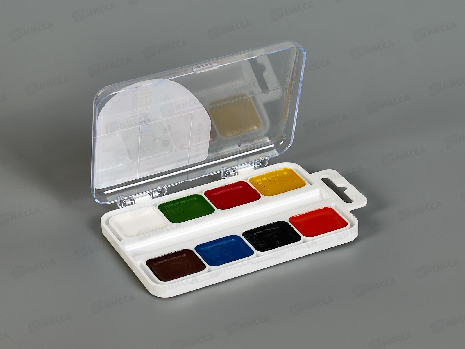 Акварель Darvish Котёнок  8цв., п/у, б/к, DV-15559-8 *42