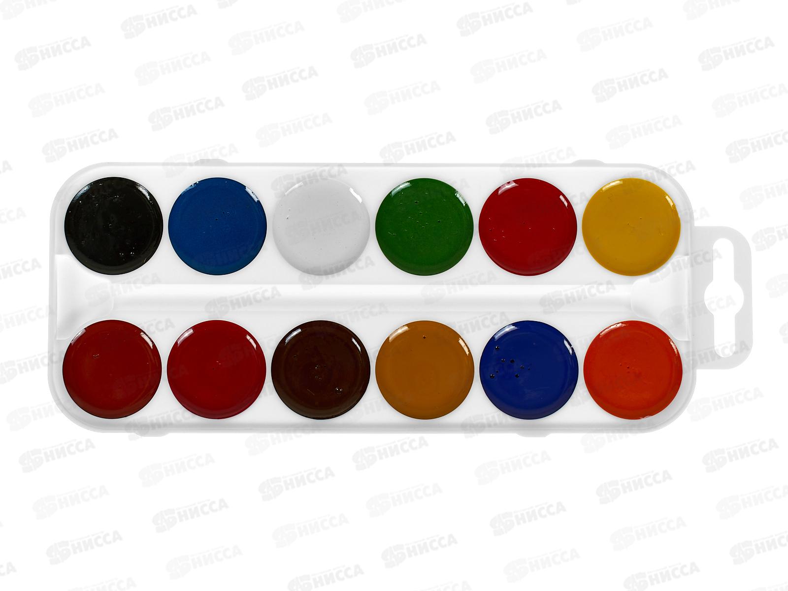 Акварель Darvish Яркий щенок,мед. б/к 12цв.,, DV-15558*42