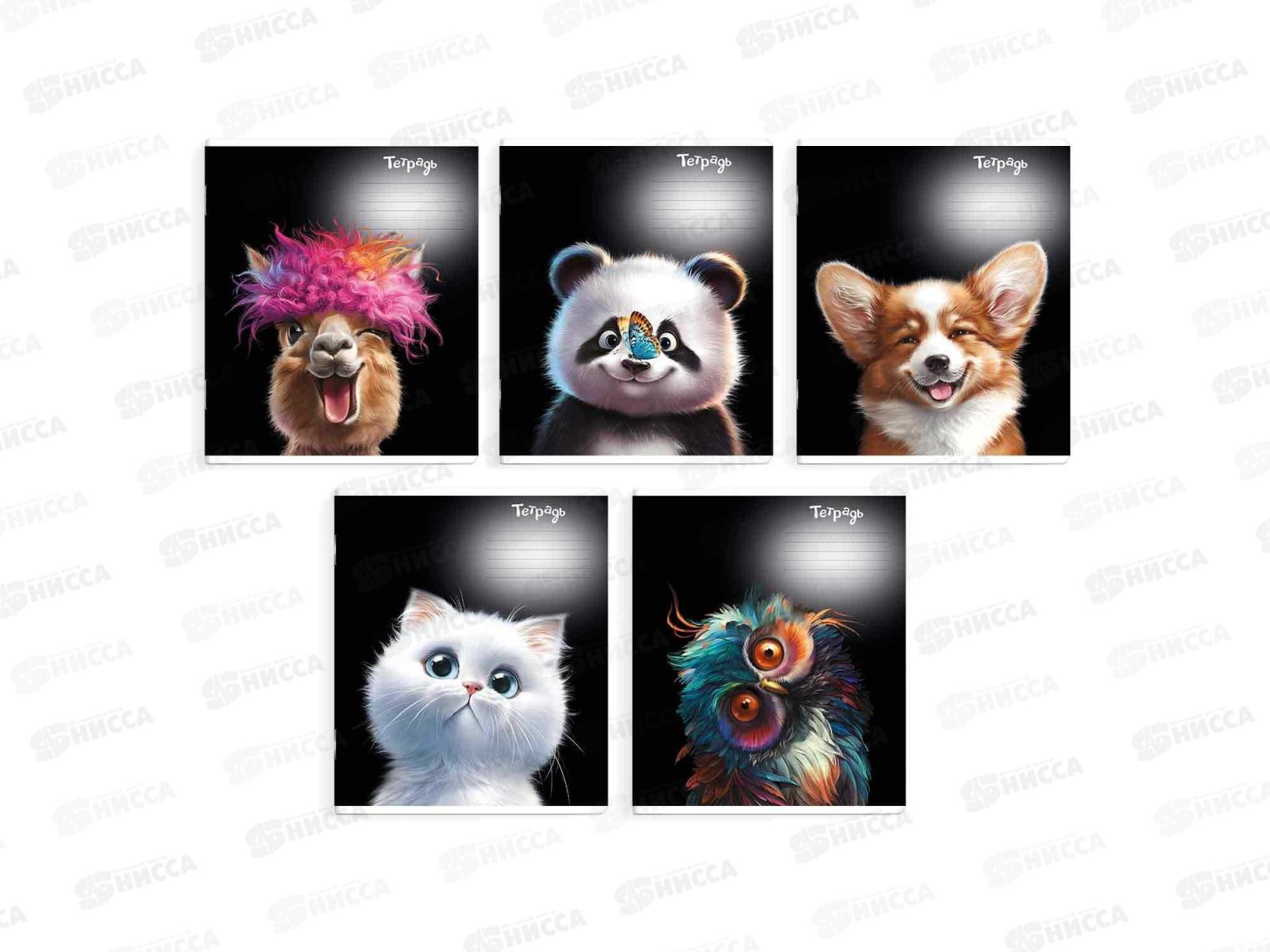 Тетрадь 18л лин. ФЕН Забавные животные, 68561 *20/120