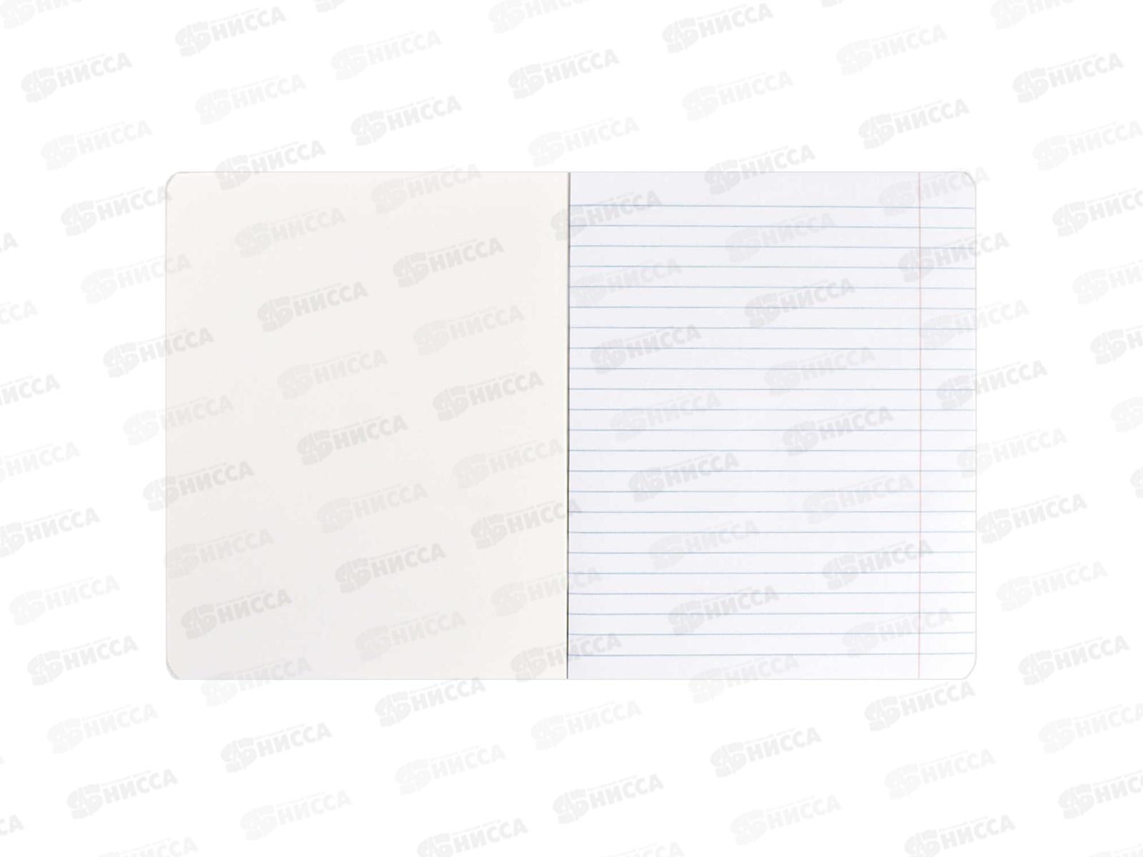 Тетрадь 18л лин. ФЕН Забавные животные, 68561 *20/120