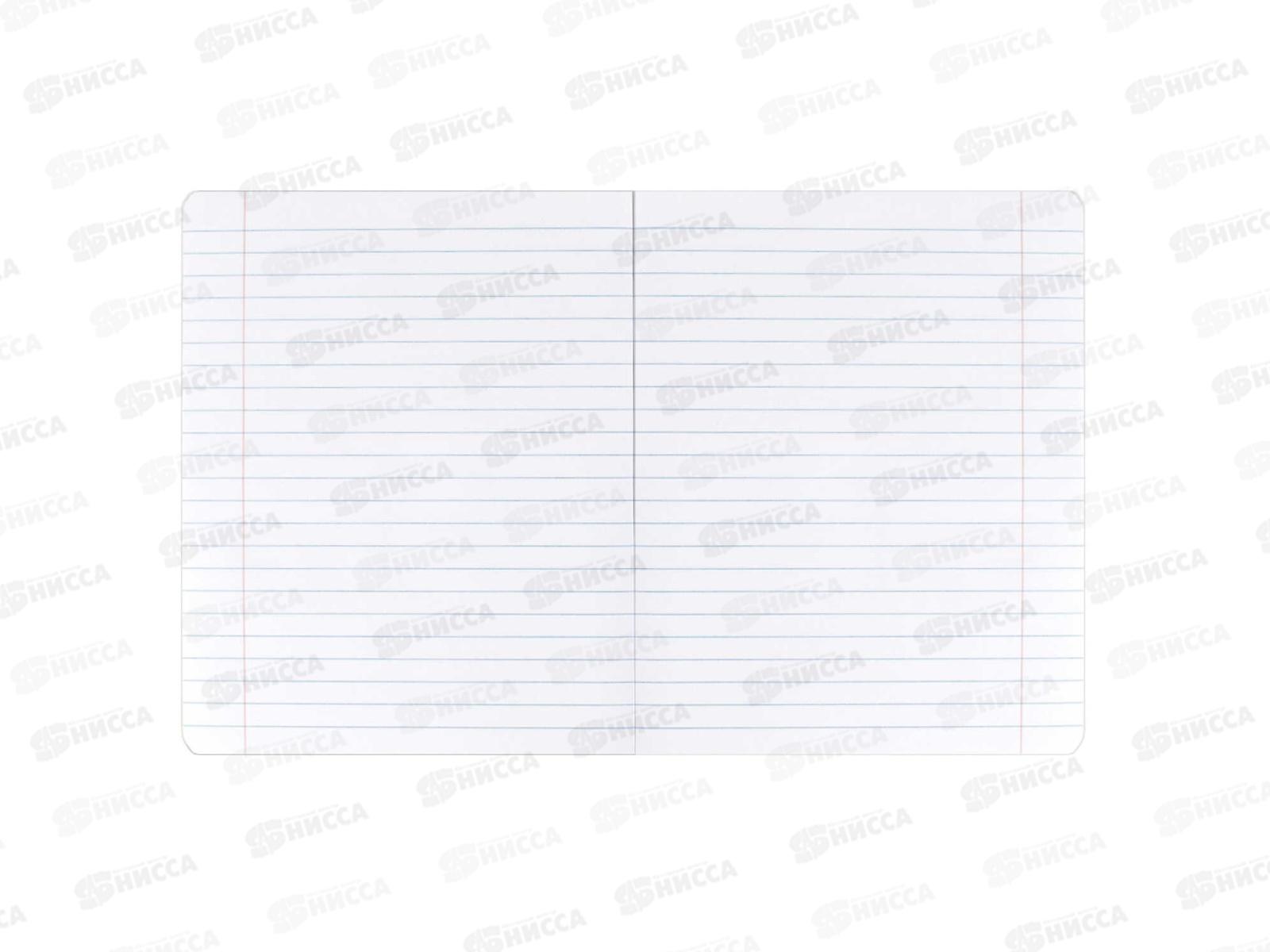 Тетрадь 18л лин. ФЕН Забавные животные, 68561 *20/120