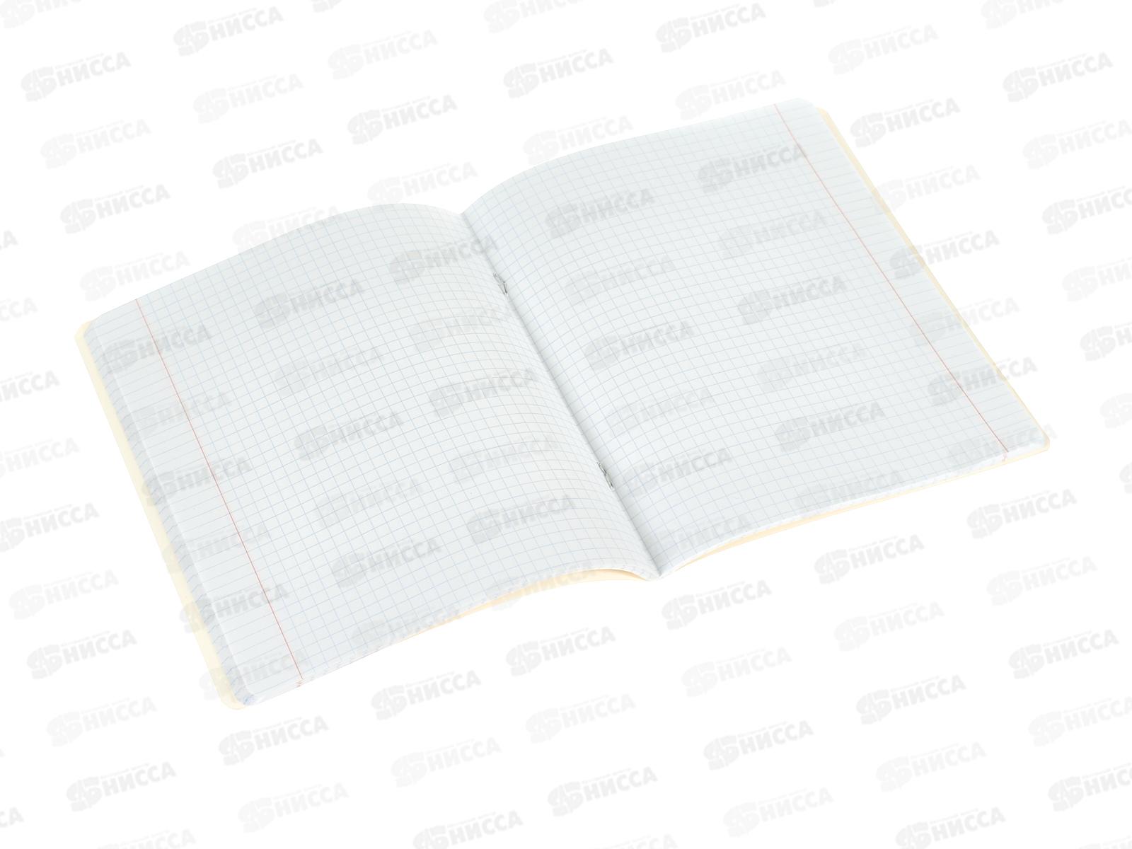 Тетрадь 48л кл. ФЕН Кот с телефоном. 68577 *5/50