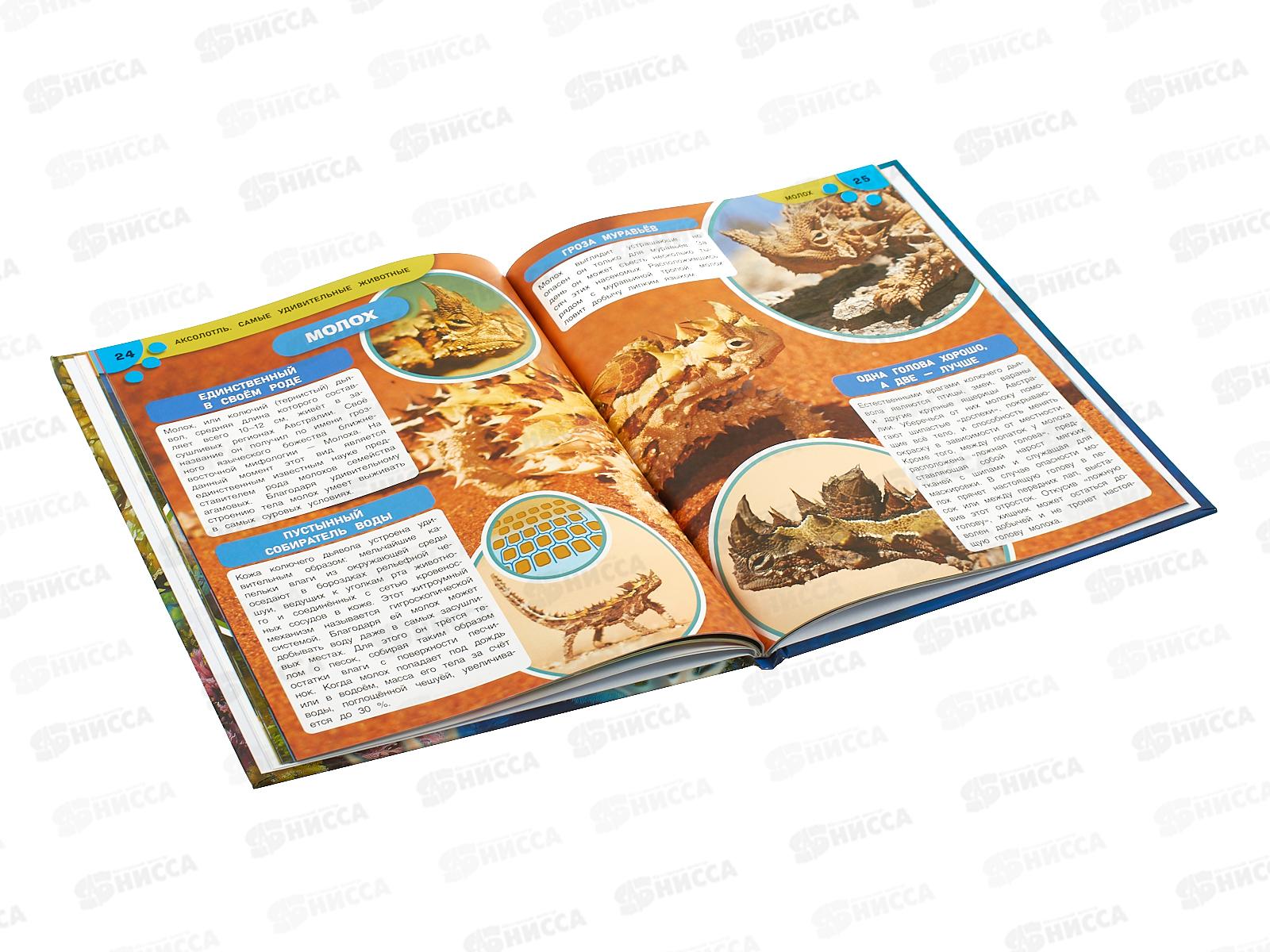 Энциклопедия 10950-1 Умка: Аксолотль. Самые удивительные животные, 48стр., 197х255мм  *15