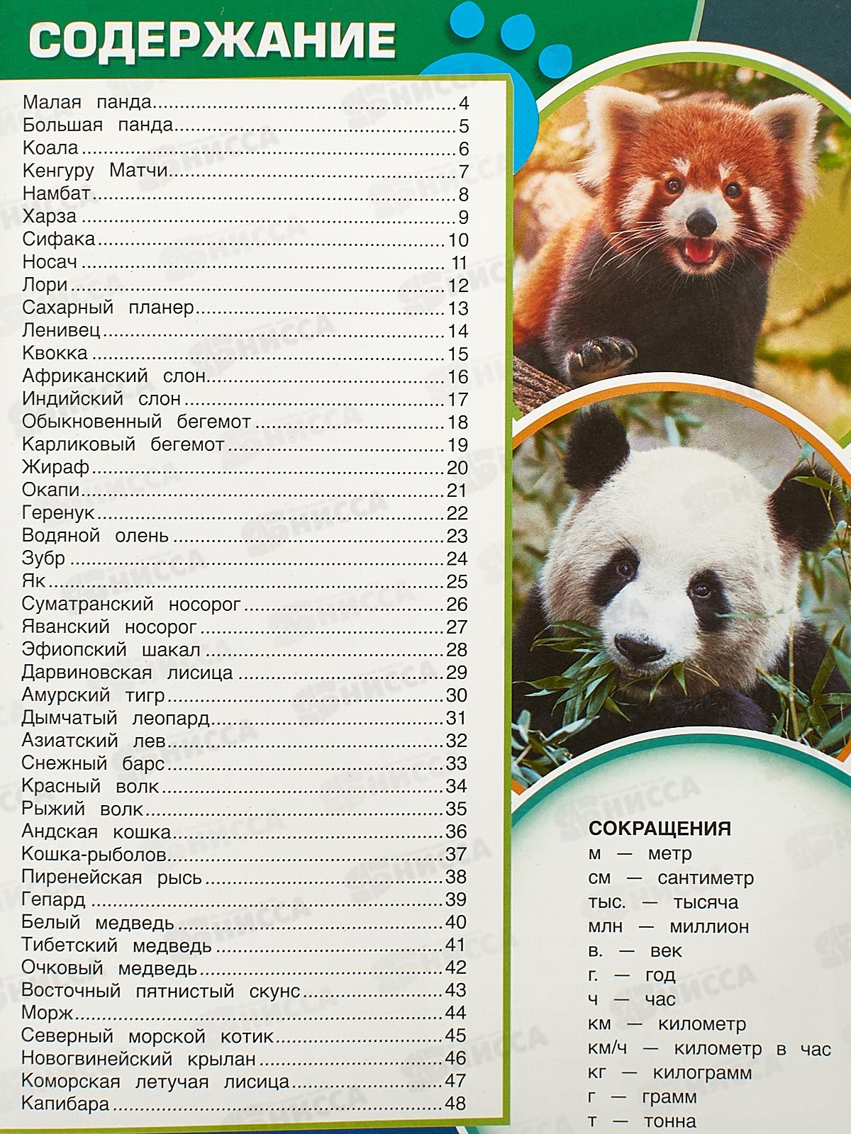 Энциклопедия 10881-8 Умка: Панда и другие редкие животные, с заданиями, 48стр. *15