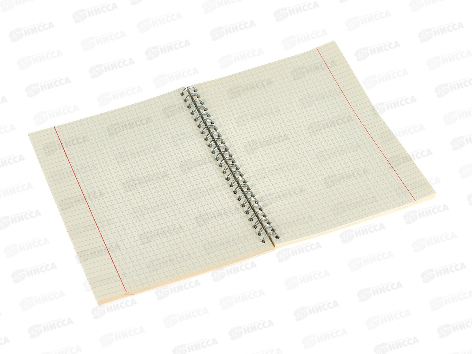 Тетрадь 80л кл. Апплика Самолет,греб,С0062-02*52