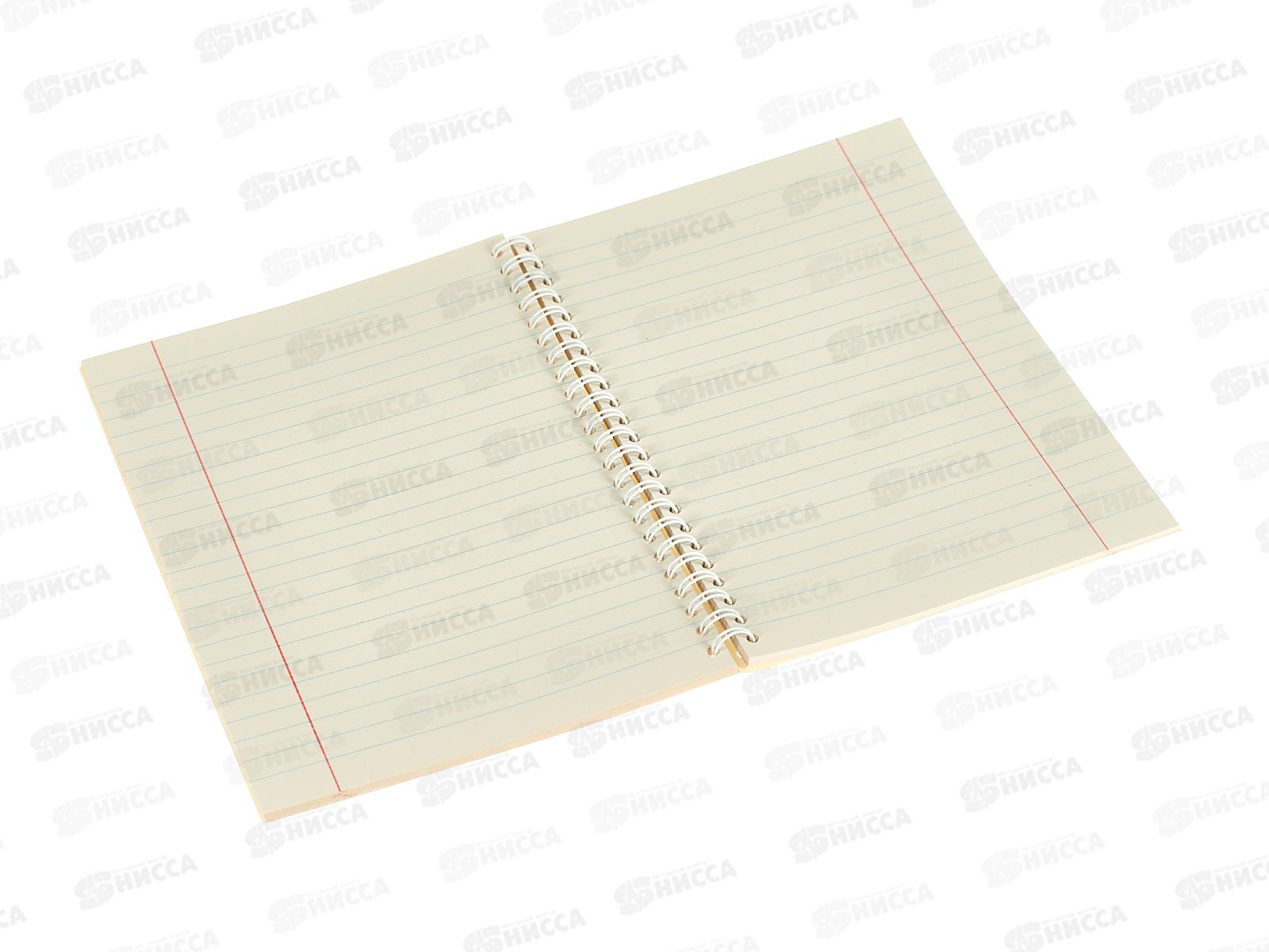 Тетрадь 80л лин.Апплика Пушистая лапка,греб.С0063-06*52