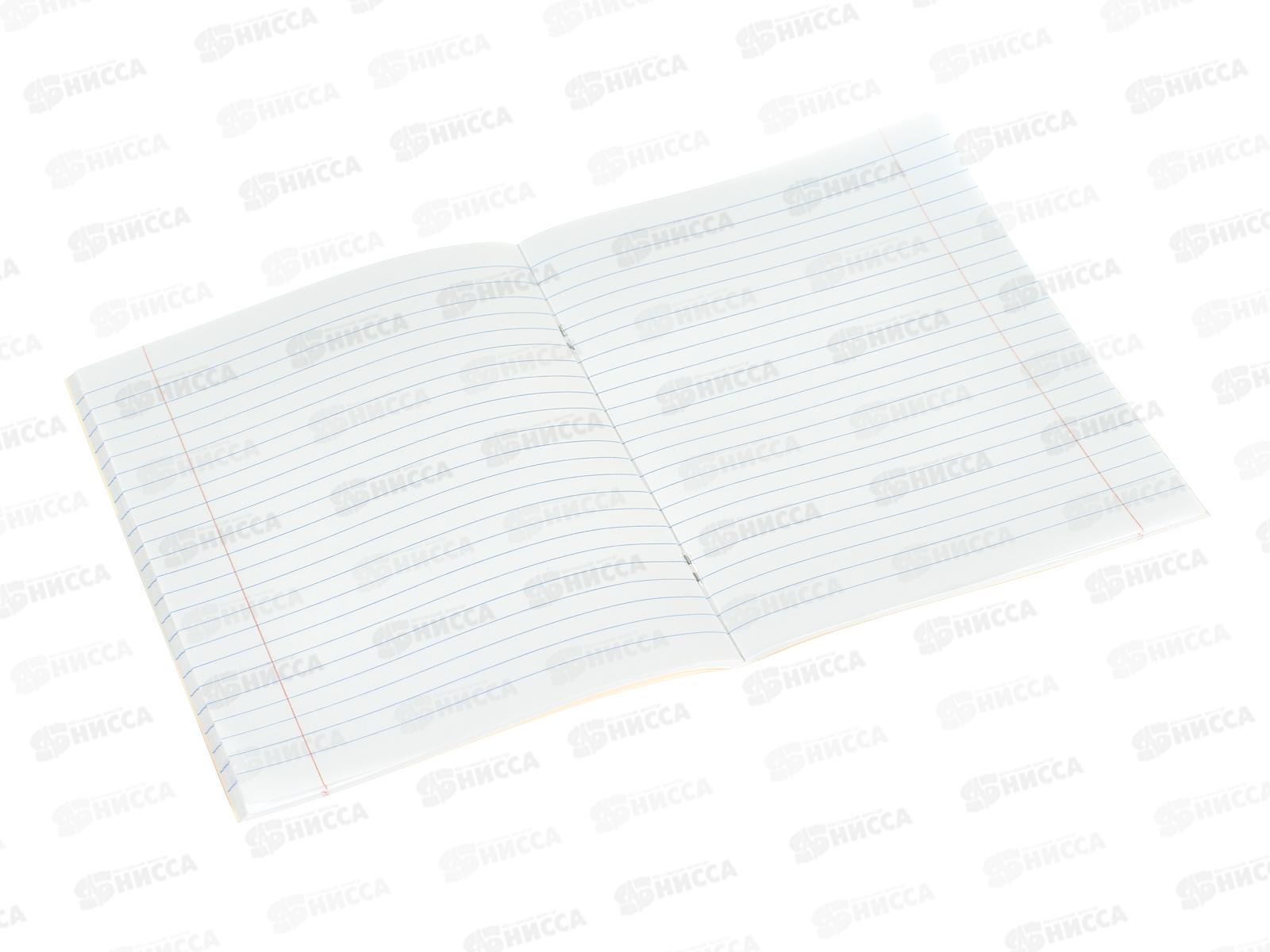 Тетрадь 48л лин. Апплика д/подготовки ЕГЭ С0148*10/80