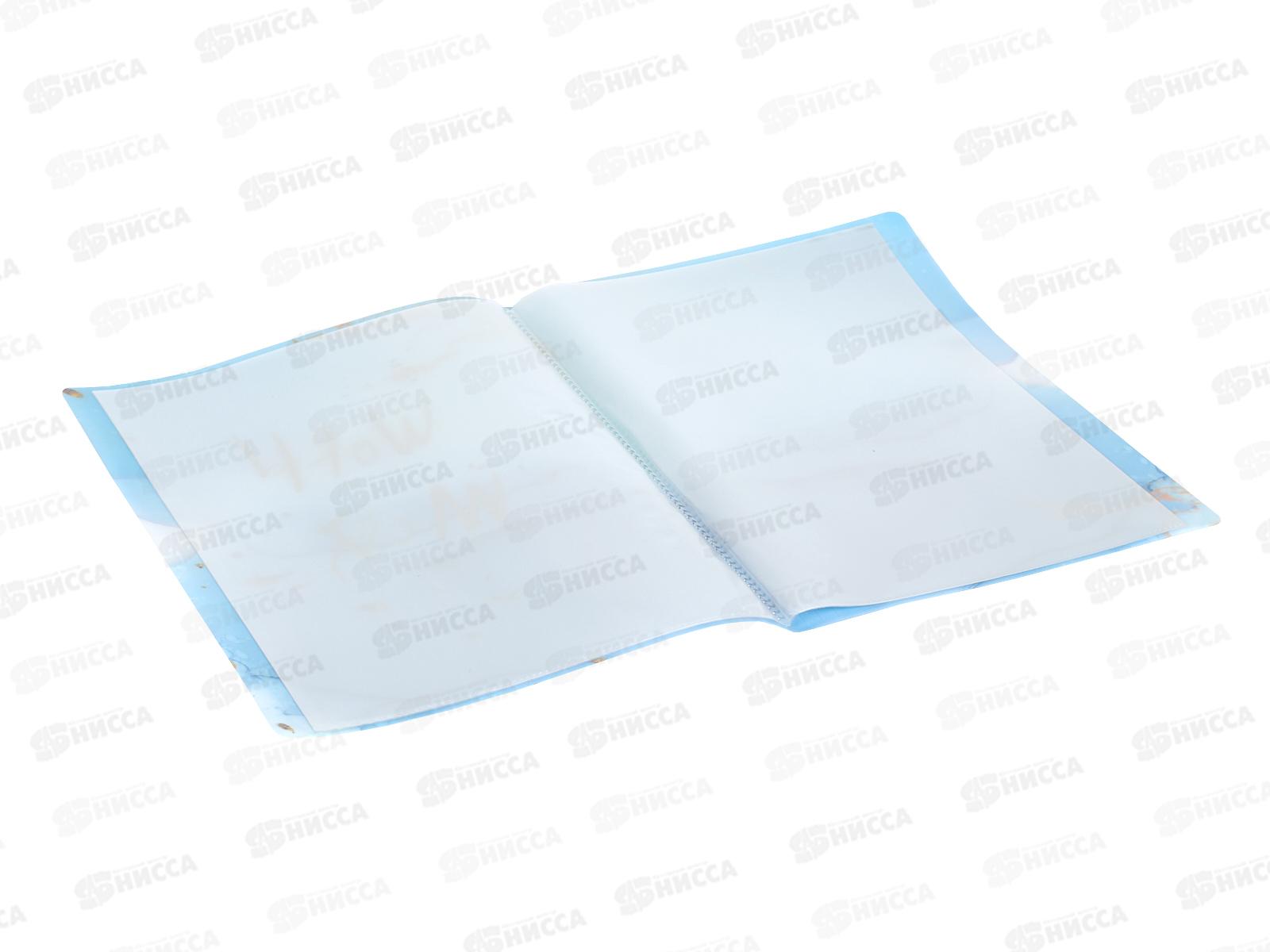 Папка с мульт.  20стр Alingar голубой,AL12804*80