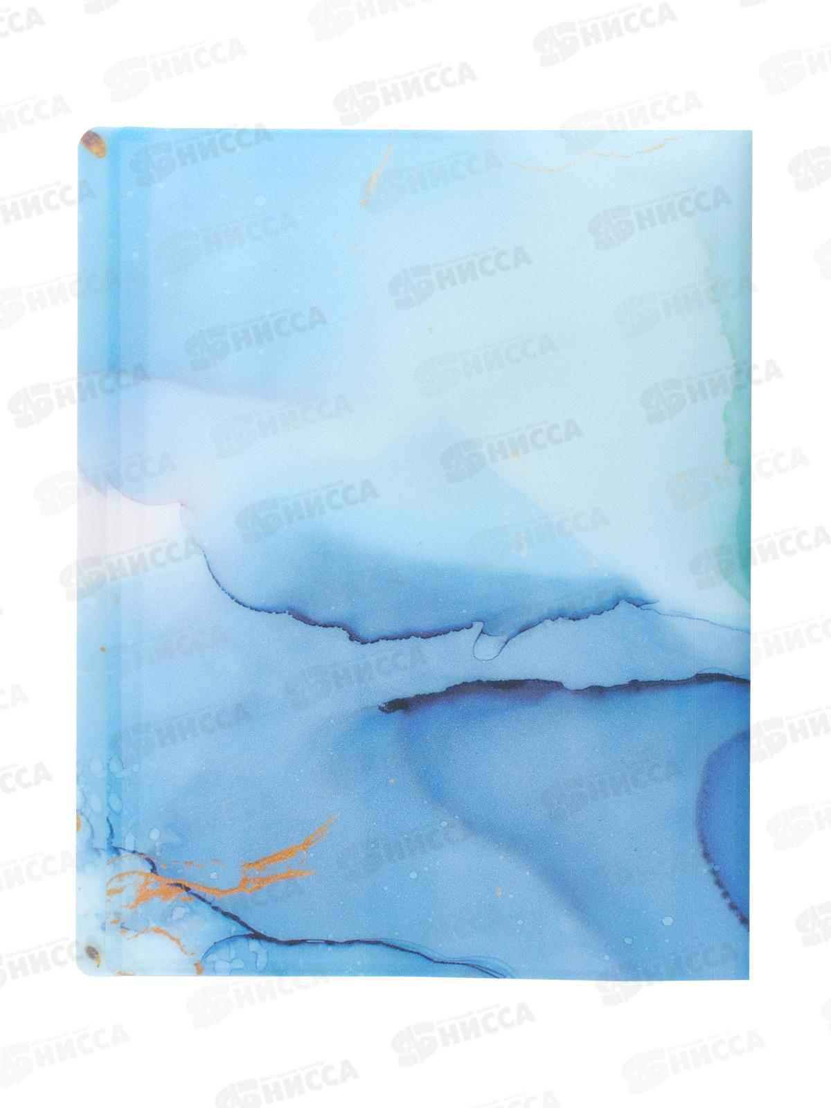 Папка с мульт.  20стр Alingar голубой,AL12804*80