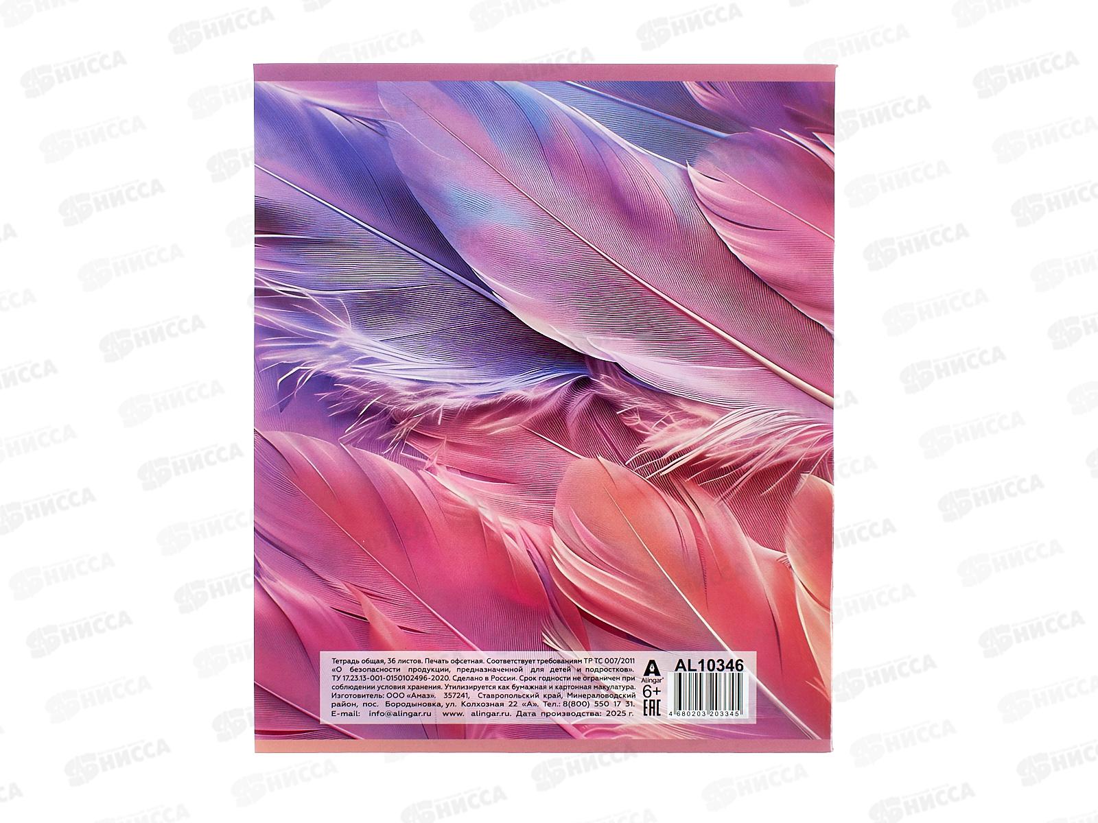 Тетрадь 36л лин. Alingar Lightness, AL10346*12/72