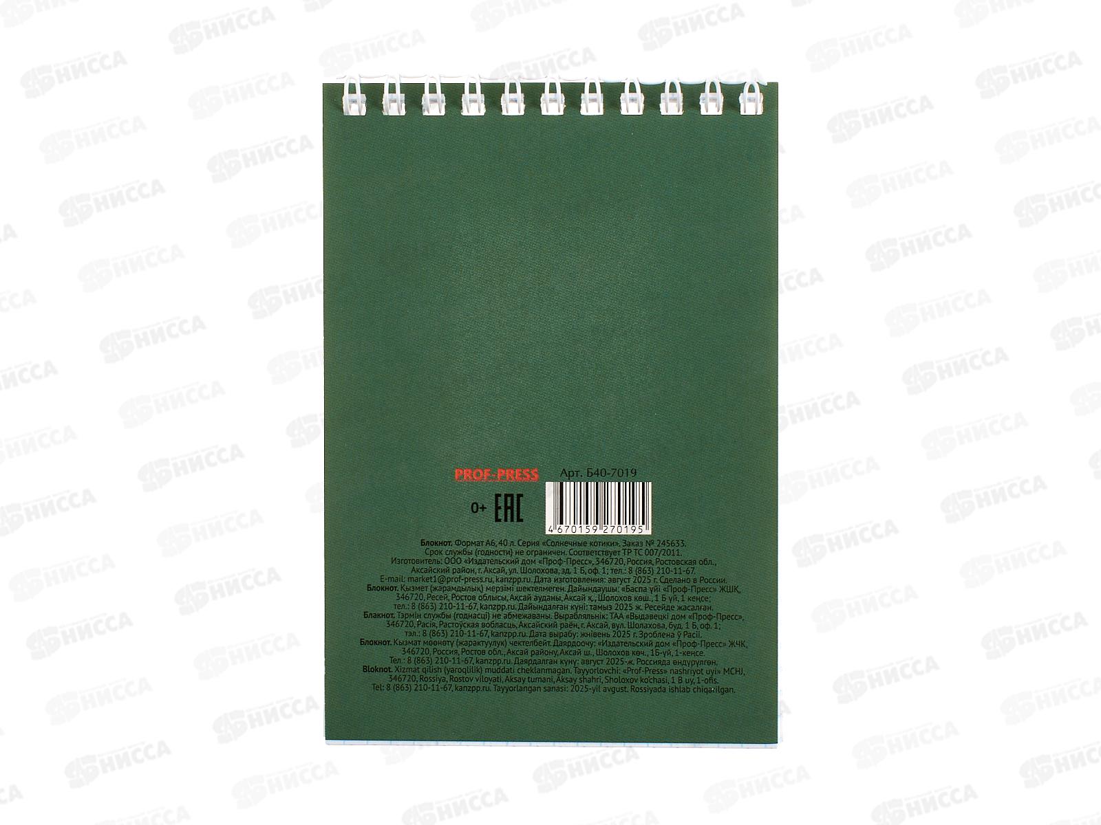 Блокнот ПП 40л А6 Солнечные котики, на гребне, клетка, Б40-7019