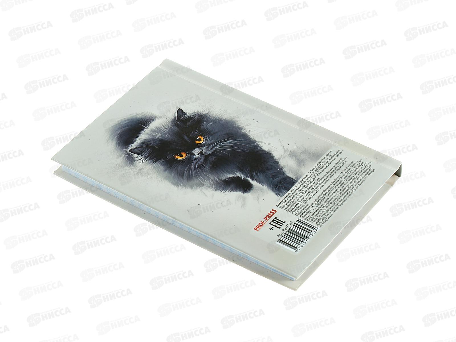 Записная книжка ПП А6 96л Пушистый котик - 5, 96-7562