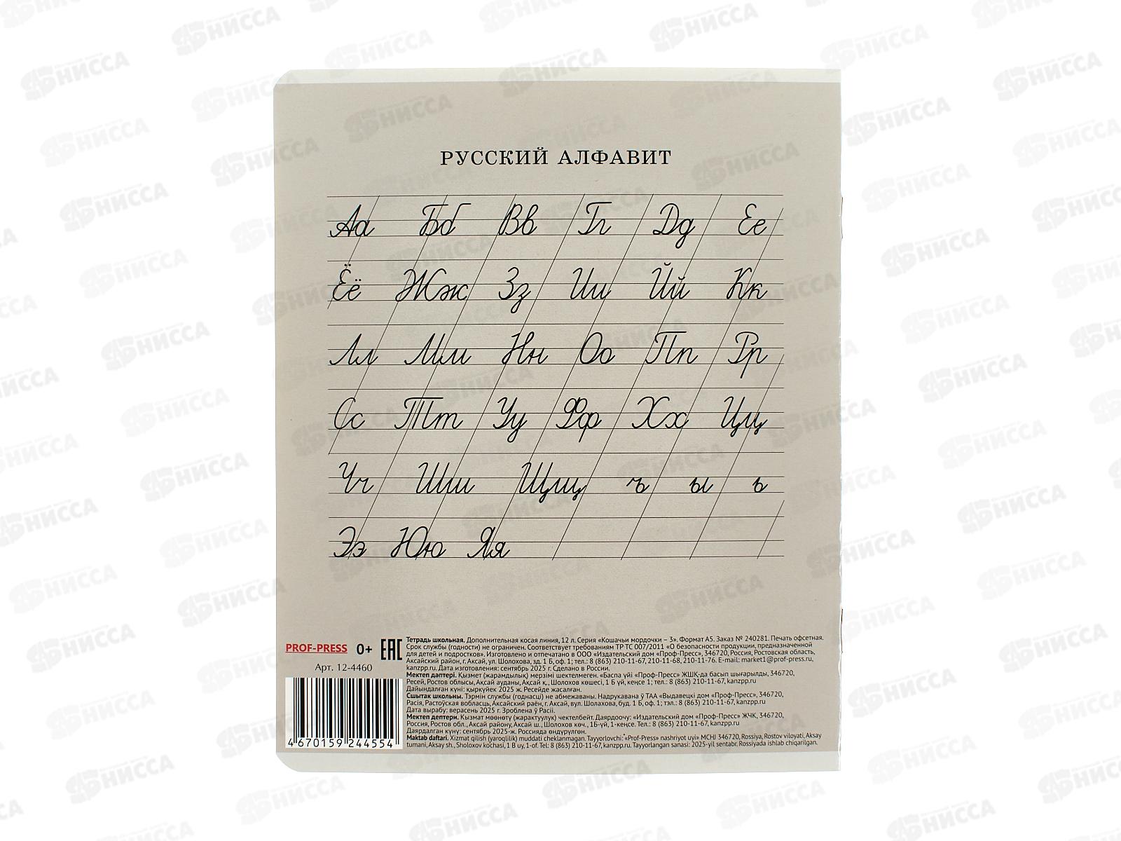 Тетрадь 12л доп. косая линия ПП Кошачьи мордочки - 3, 5 диз., 12-4460 *20/240