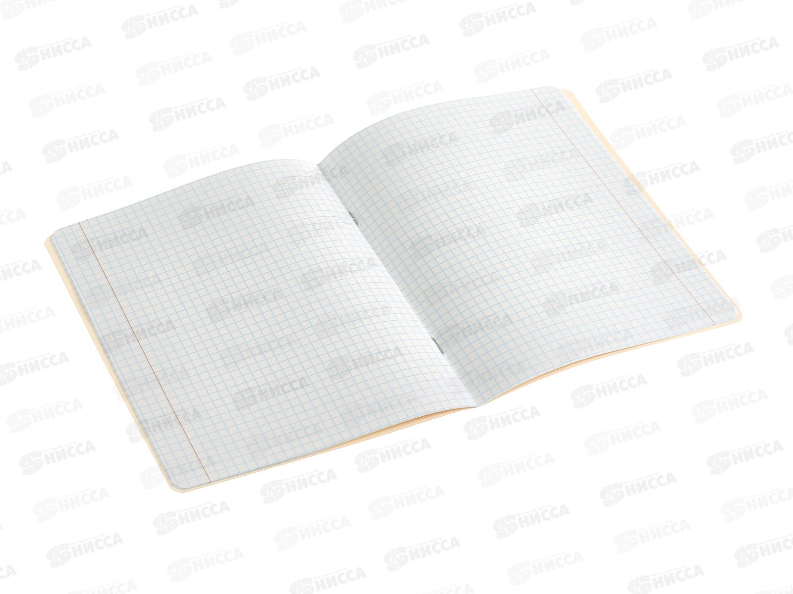 Тетрадь 18л клетка ПП Мраморный дизайн, 5 дизайнов, Т18-5955 *160