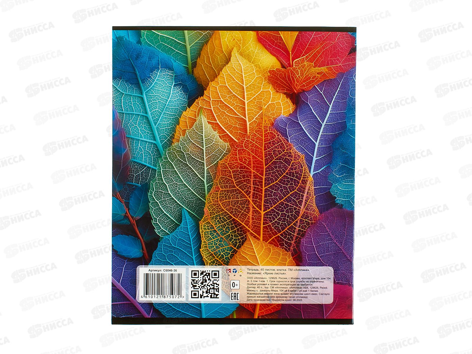 Тетрадь 40л кл. Апплика Яркие листья ,С6046-36 *80