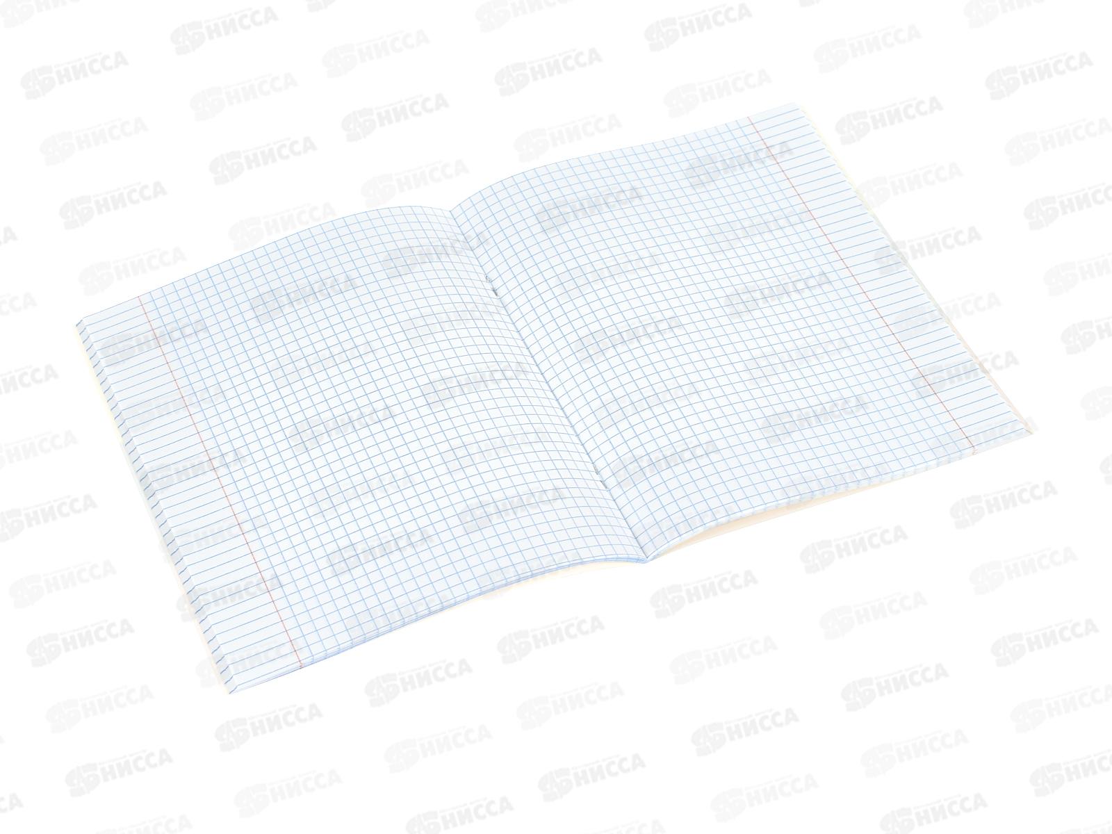 Тетрадь 48л кл. Апплика д/подгтовки к ЕГЭ, С0147*80