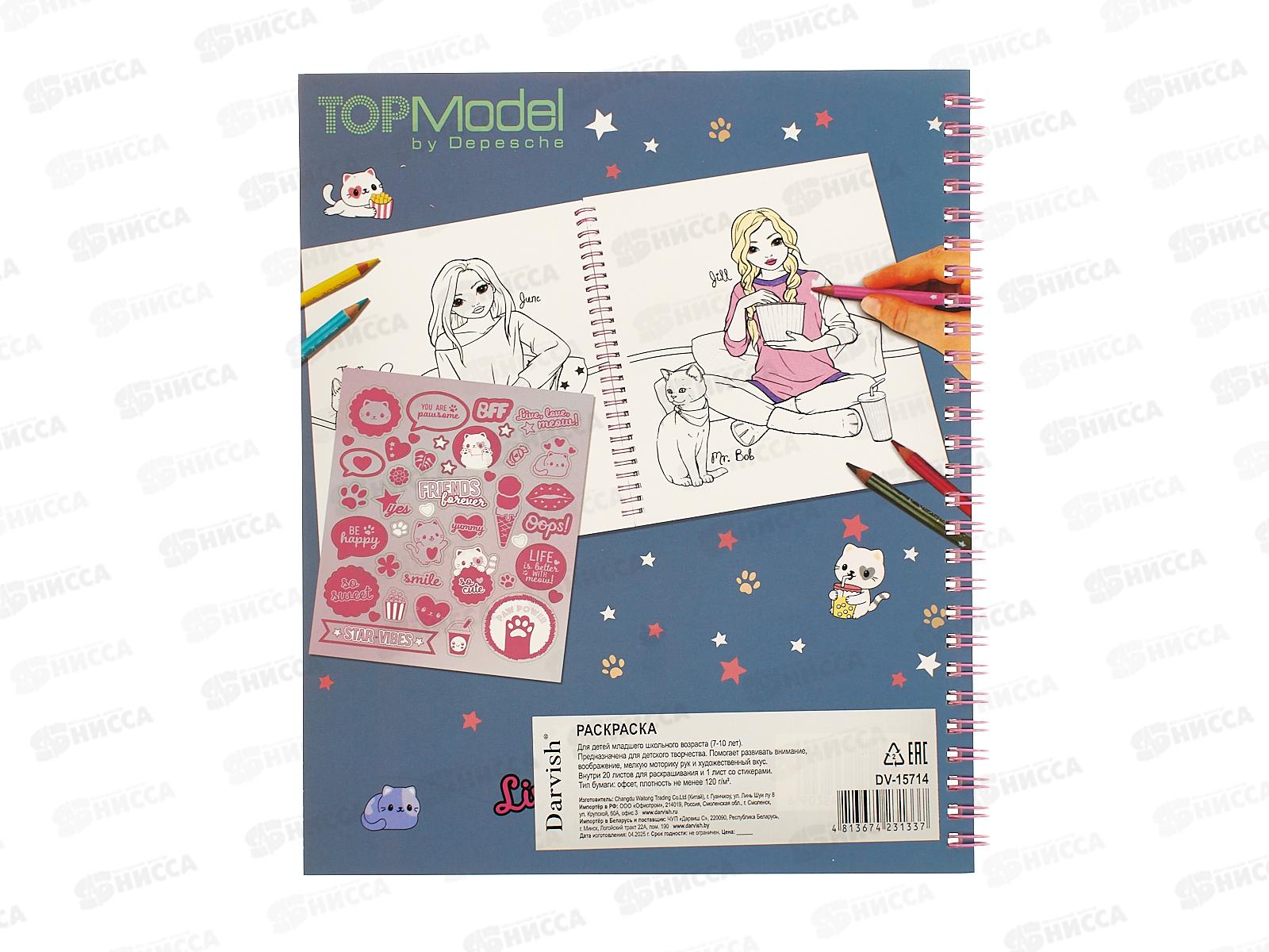 Раскраска Darvish  DV-15714 *100