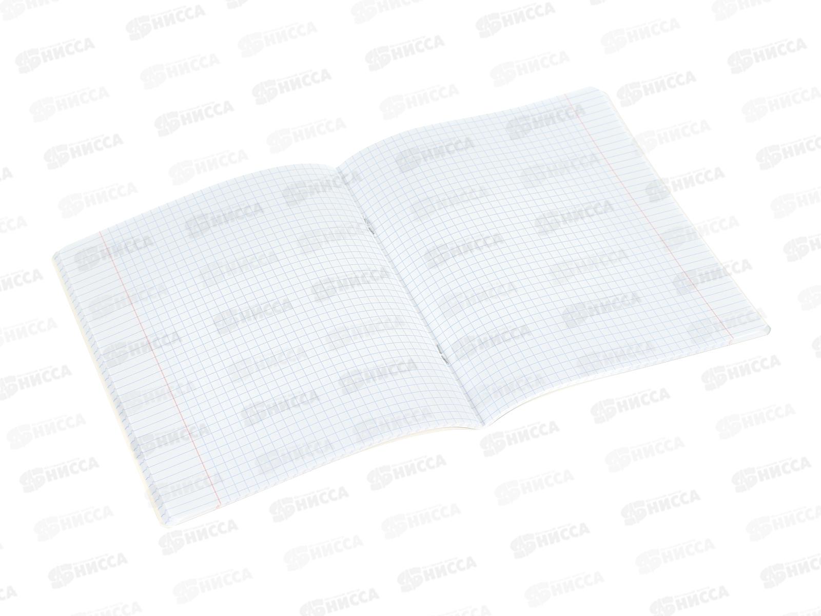 Тетрадь 48л кл. ПОЛИ Glow Food  65555*5/100