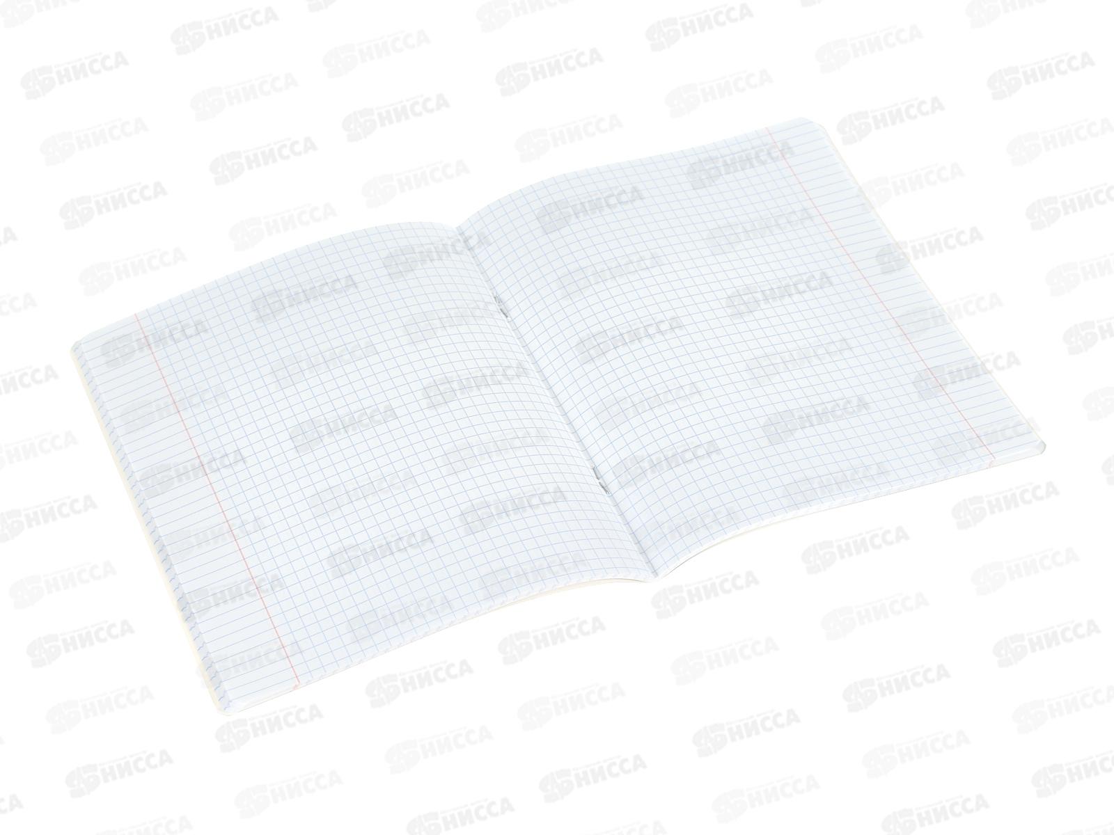 Тетрадь 48л кл. ПОЛИ Scarlet 64868*5/100