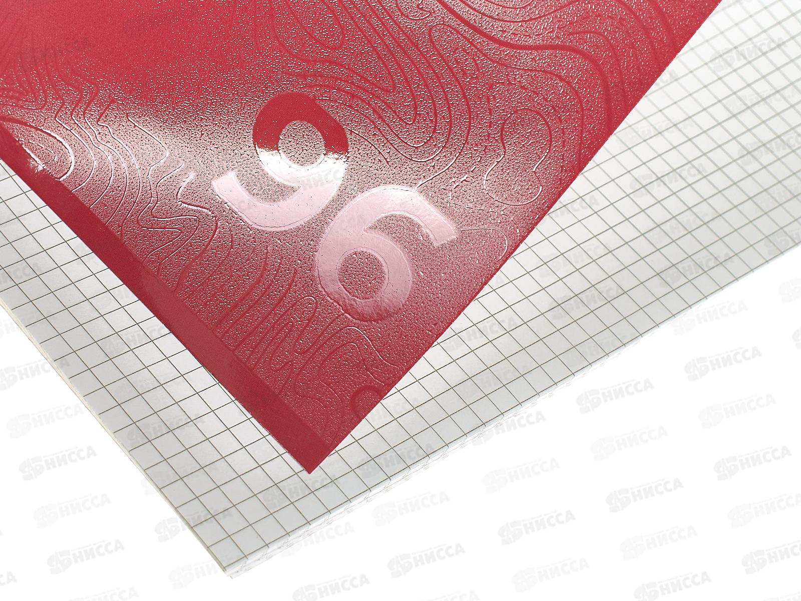 Тетрадь 96л кл. АКАД А4 Viva Magenta 13998/3-ЕАС *12/24