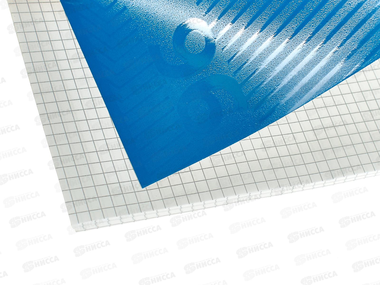 Тетрадь 96л кл. АКАД А4 Синяя 13995/3-ЕАС *12/24