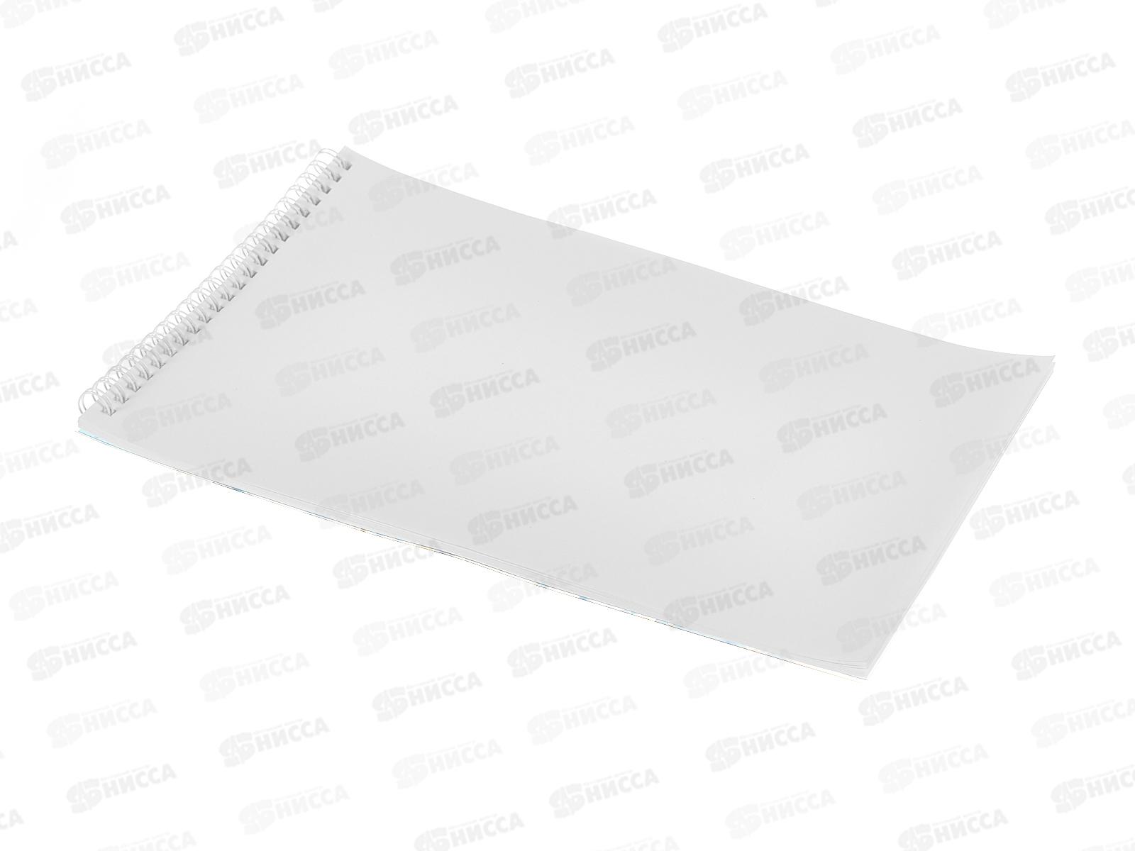 Альбом д/рис.32л Hatber Прекрасные незнакомки, греб. 091563 *40