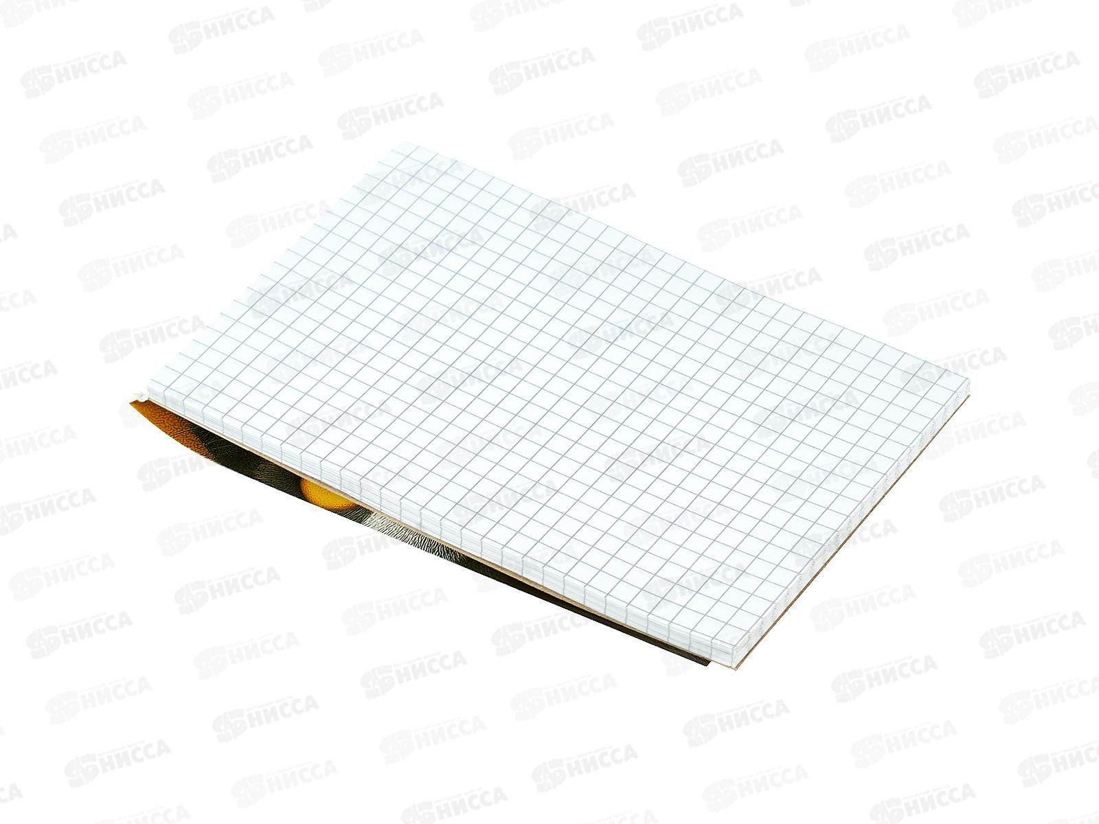 Блокнот 40л Hatber А6 Пушистый философ. клетка 093611 *6/96