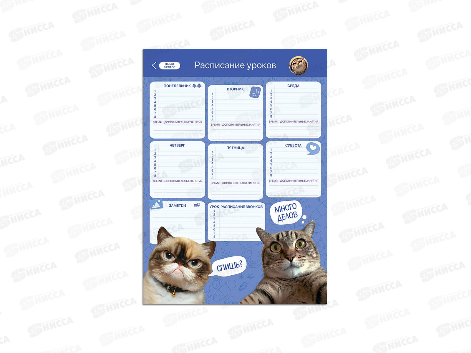 Расписание уроков ГД. Капибара+Мемокотики А3 многораз, 33774