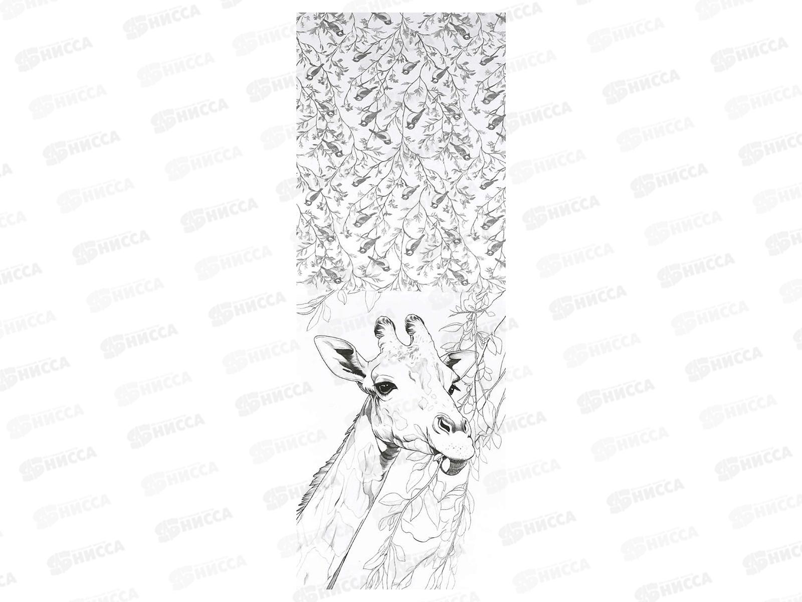 Раскраска ФЕН  16л 200*140мм д/скетч-маркеров Животные, 72132 *50