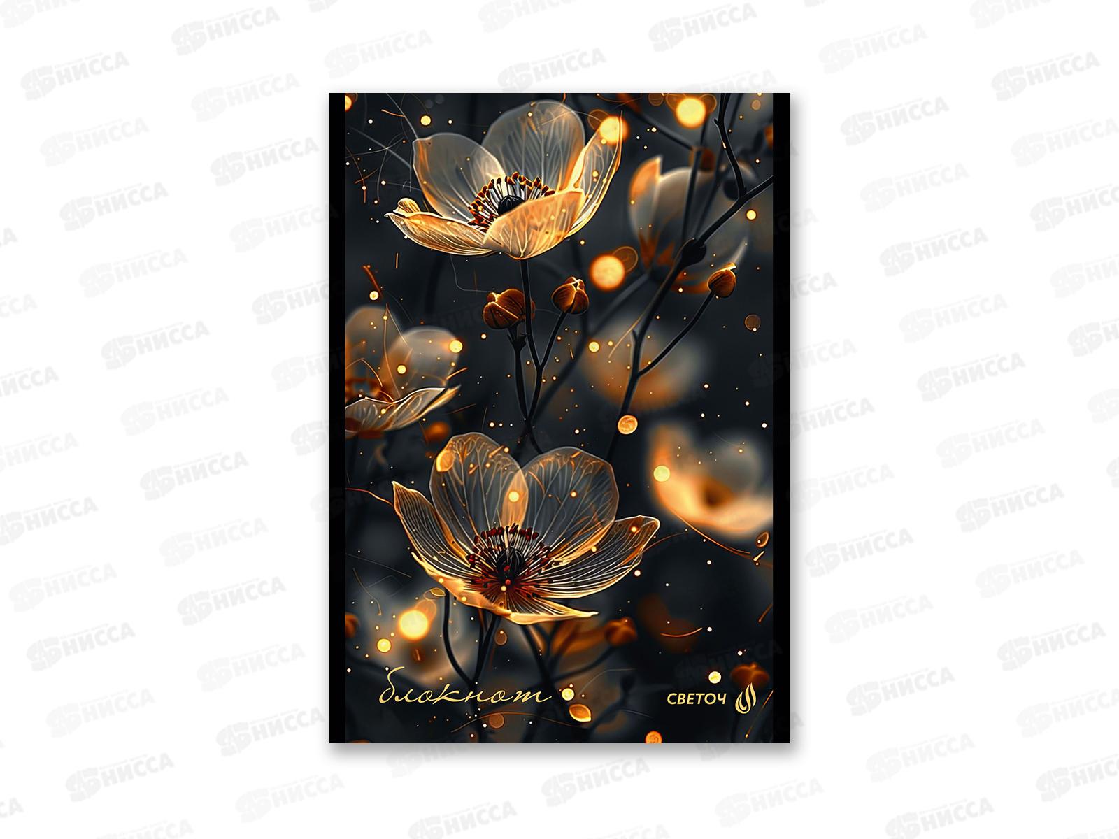 Блокнот 48л SVETOCH А5 В лунном свете, клетка, 01735