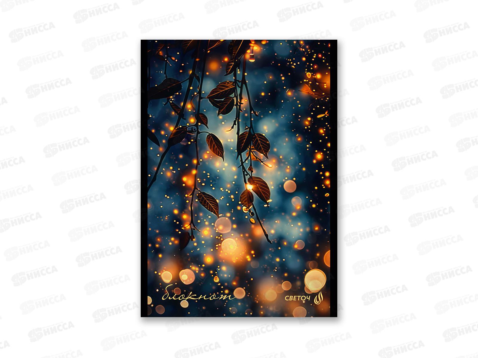 Блокнот 48л SVETOCH А5 В лунном свете, клетка, 01735