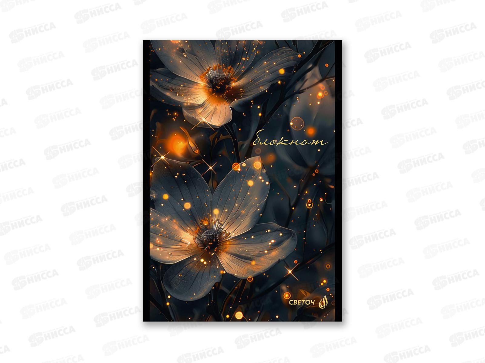 Блокнот 48л SVETOCH А5 В лунном свете, клетка, 01735