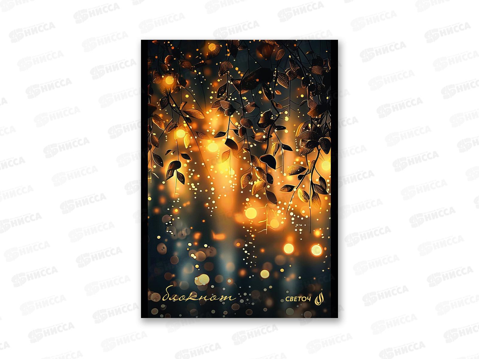 Блокнот 48л SVETOCH А5 В лунном свете, клетка, 01735