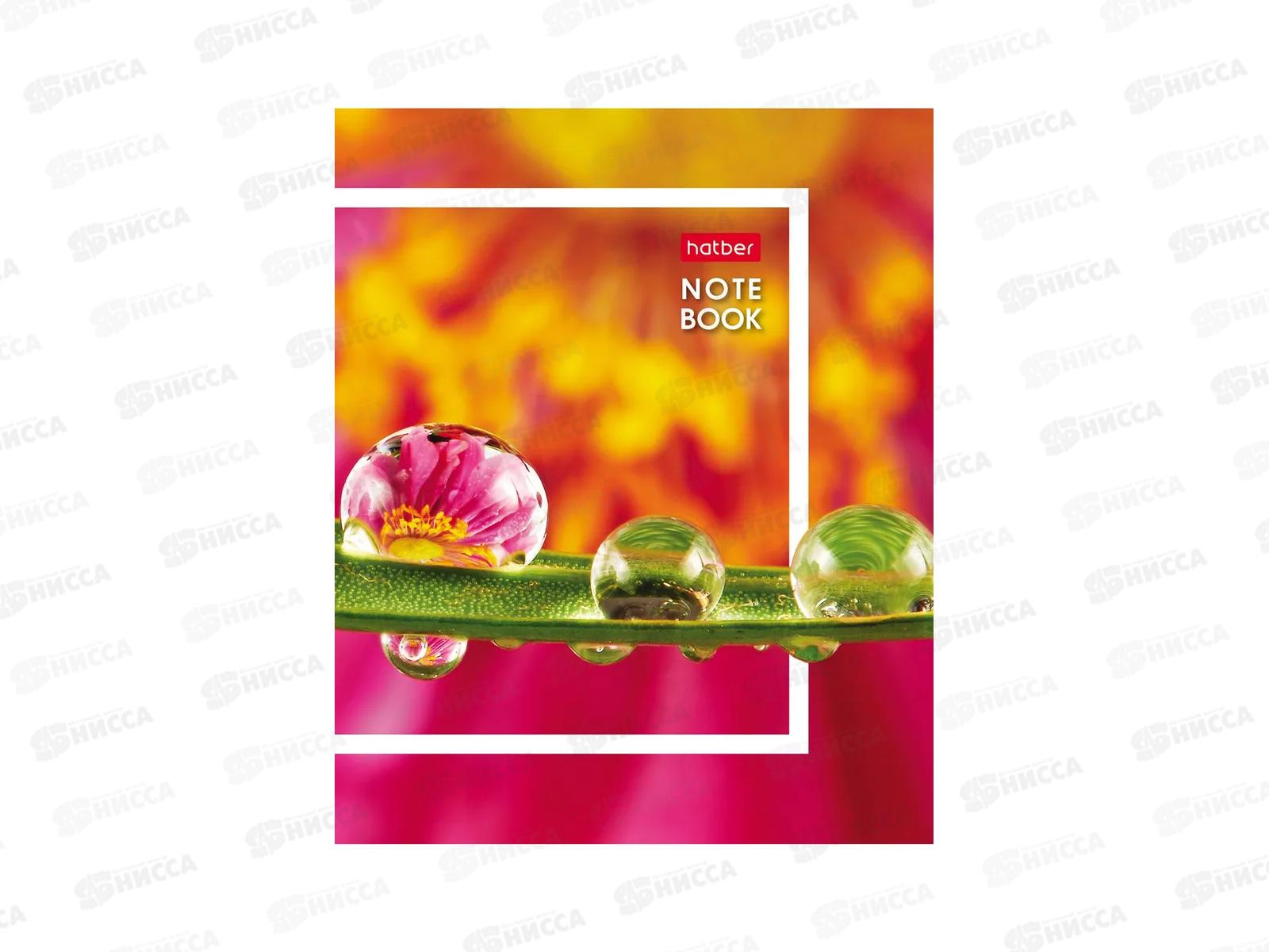 Записн.книжка Hatber А6 32л Живые моменты, 10диз. 091594 *144