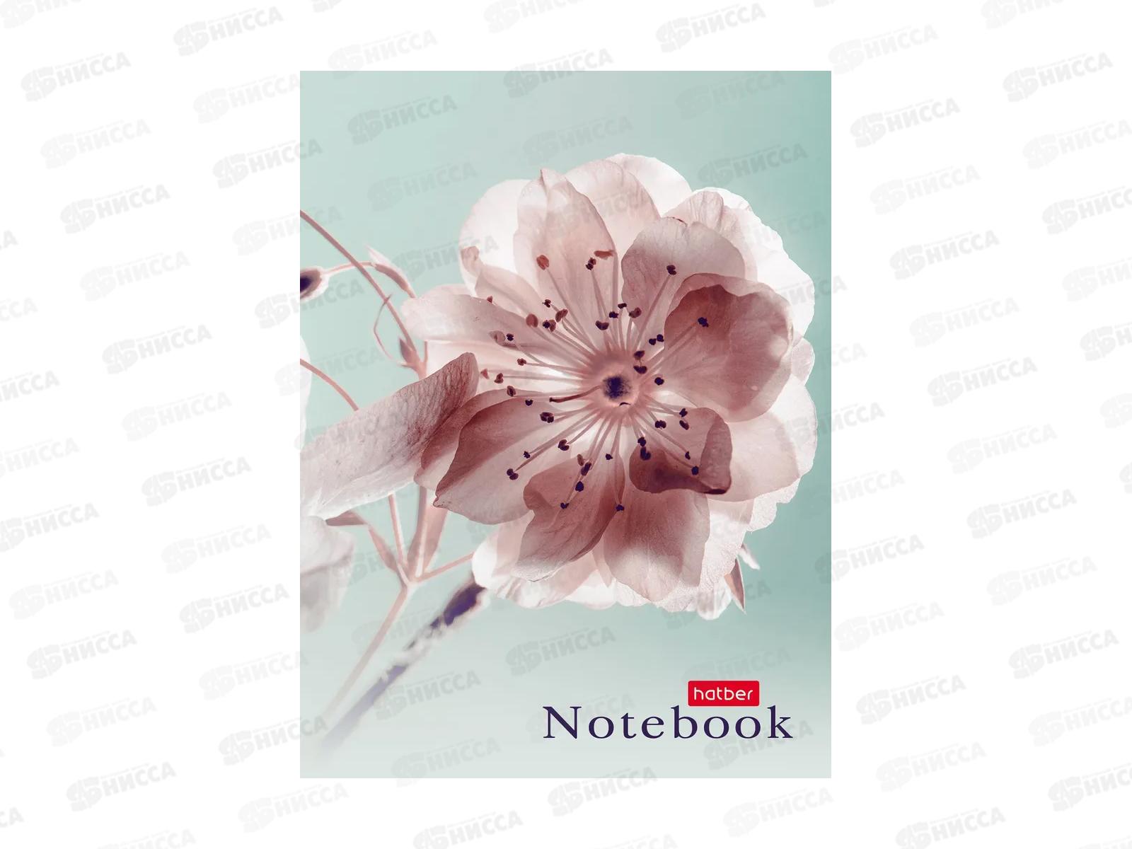 Записн.книжка Hatber А6 32л Живые моменты, 10диз. 091594 *144