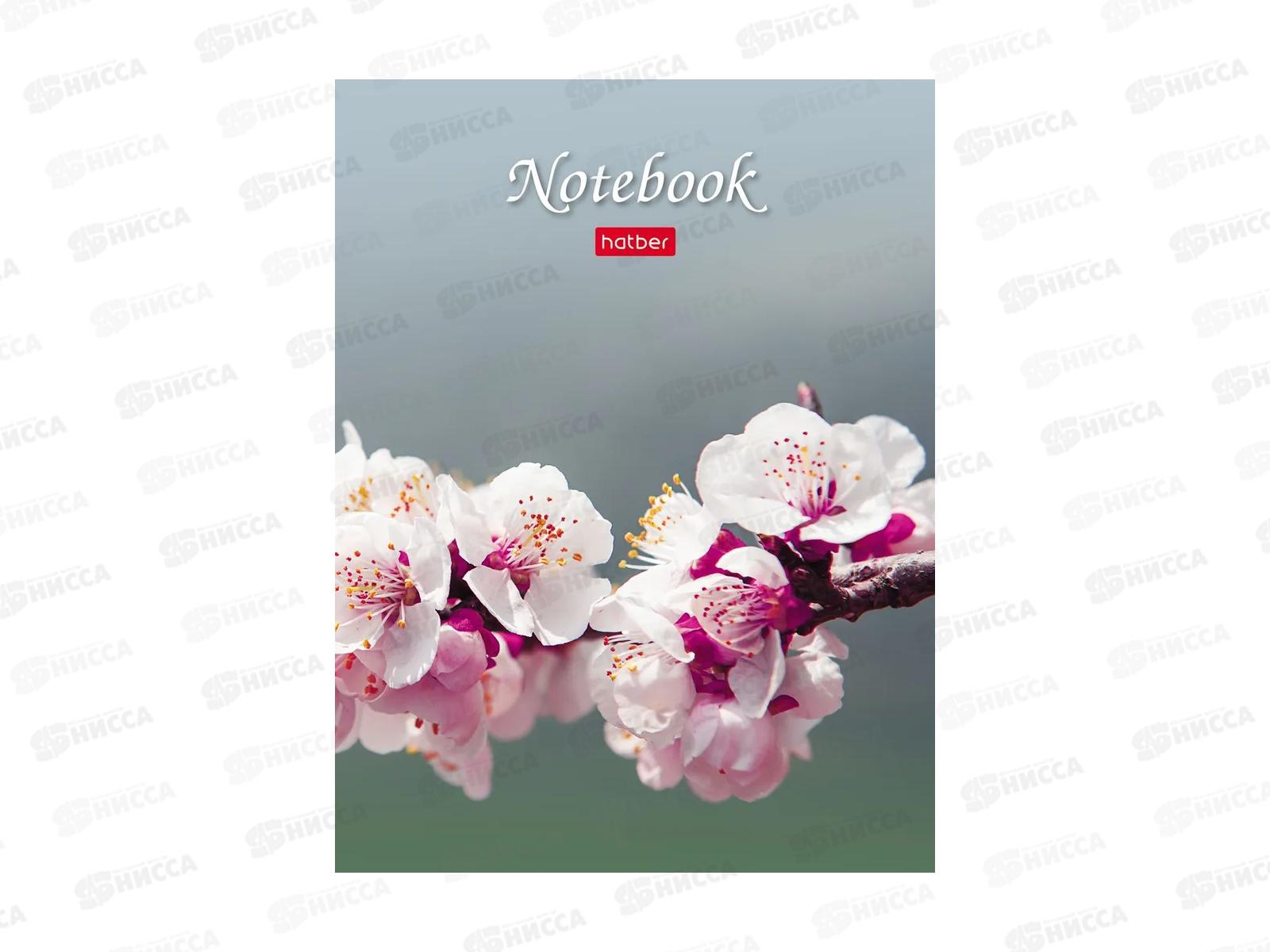 Записн.книжка Hatber А6 32л Живые моменты, 10диз. 091594 *144