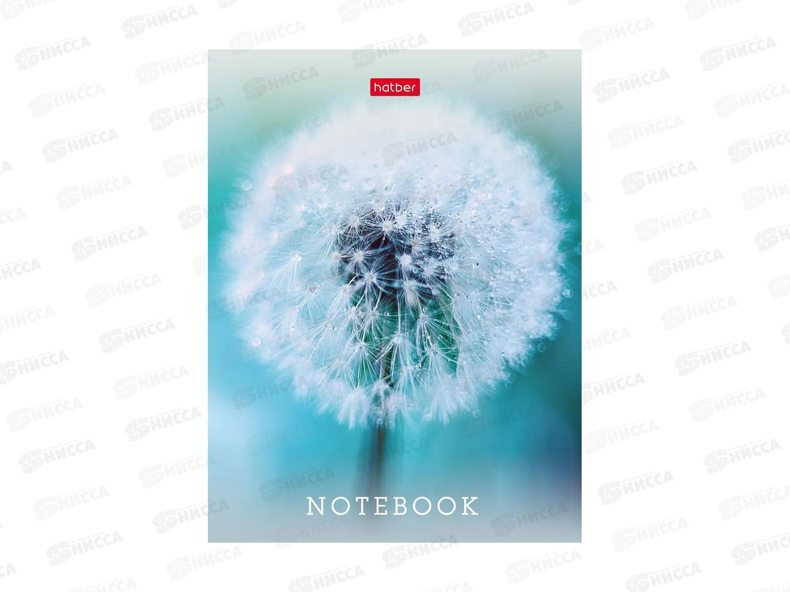 Записн.книжка Hatber А6 32л Живые моменты, 10диз. 091594 *144