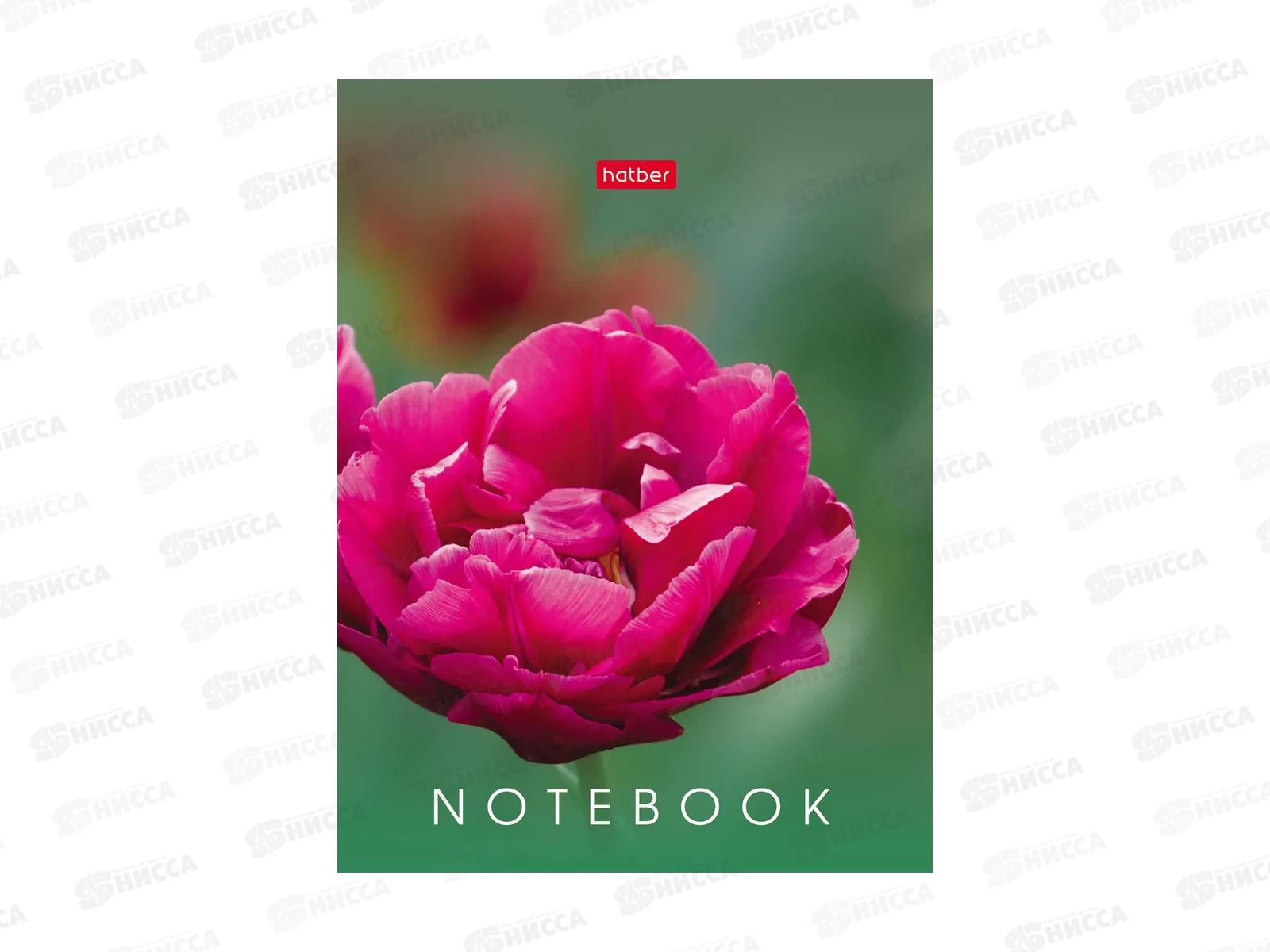 Записн.книжка Hatber А6 32л Живые моменты, 10диз. 091594 *144