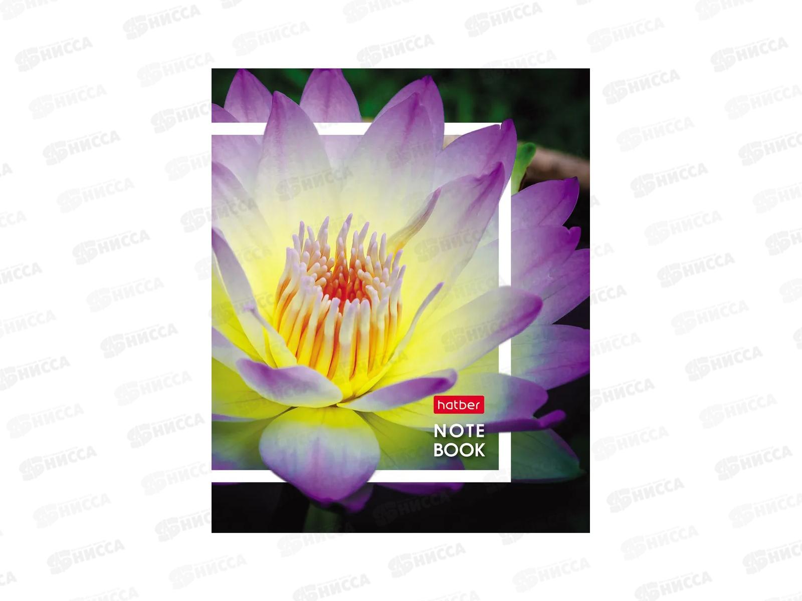 Записн.книжка Hatber А6 32л Живые моменты, 10диз. 091594 *144