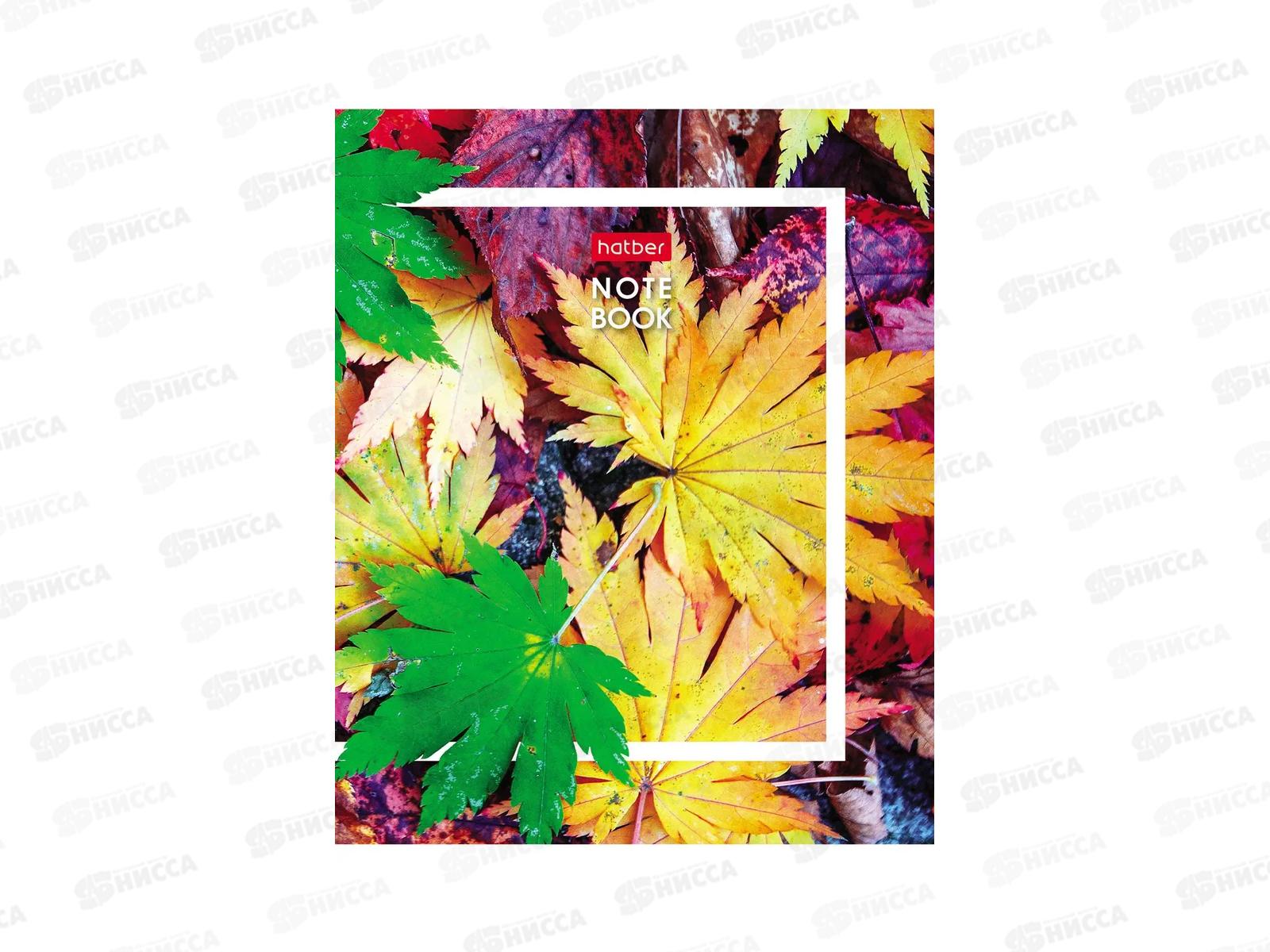 Записн.книжка Hatber А6 32л Живые моменты, 10диз. 091594 *144