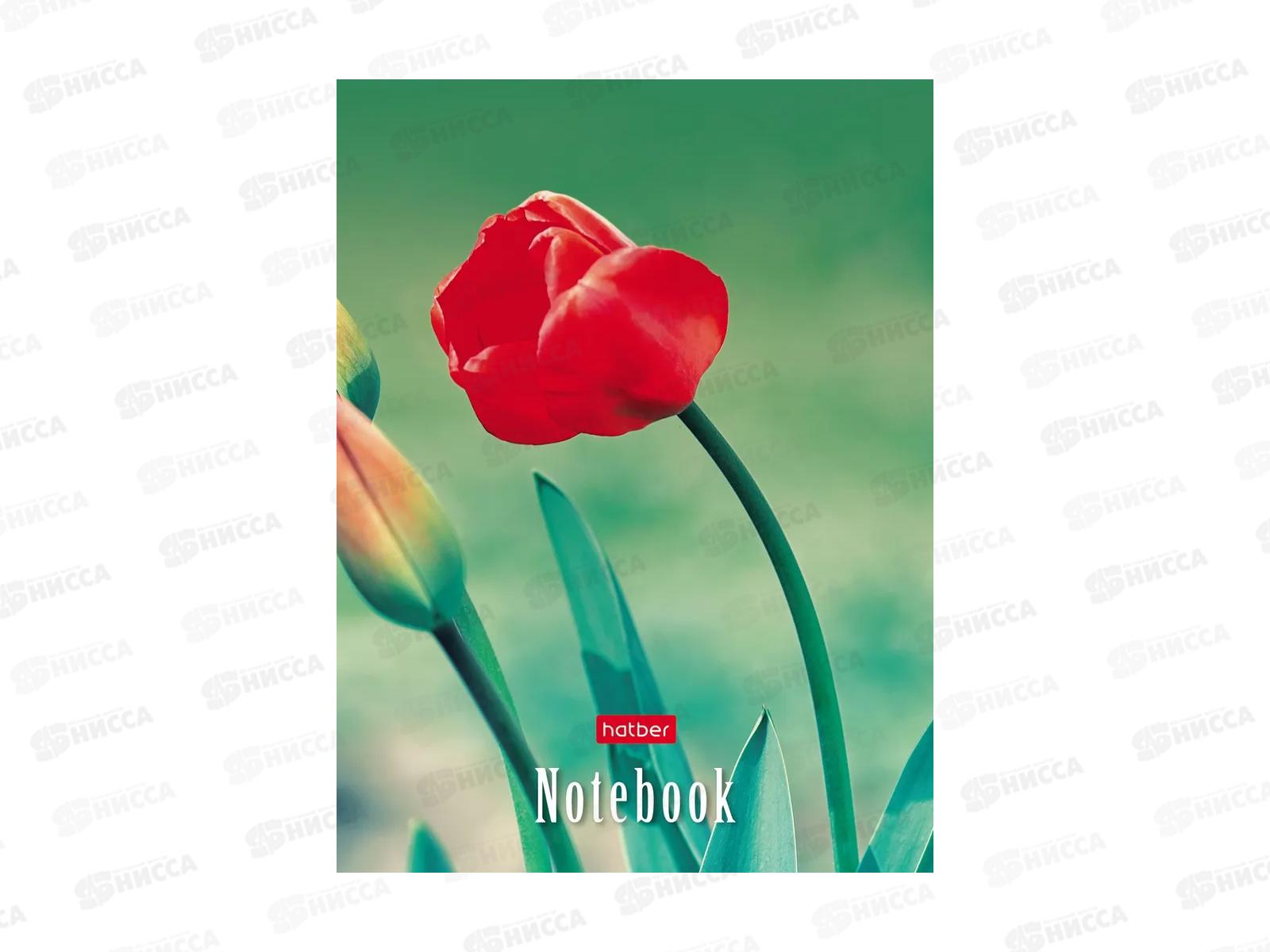 Записн.книжка Hatber А6 32л Живые моменты, 10диз. 091594 *144