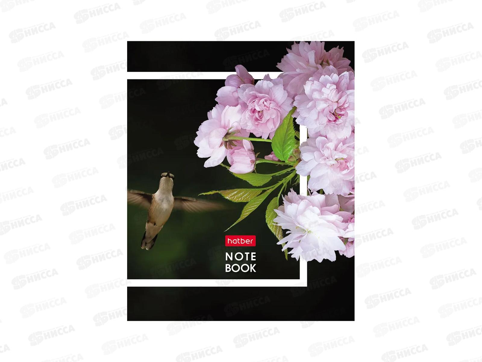 Записн.книжка Hatber А6 32л Живые моменты, 10диз. 091594 *144