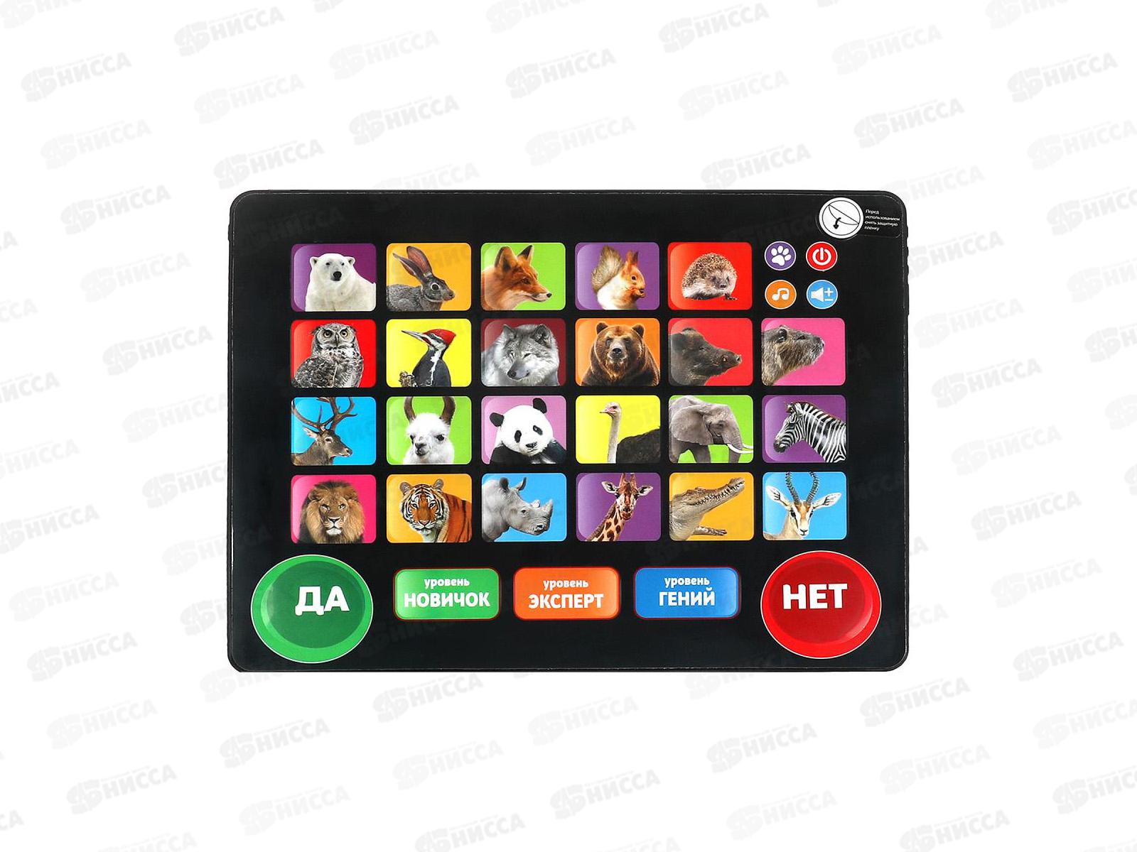 Планшет обуч. &quotУмка&quot Все о мире животных, музыка Шаинский, НХ82015-R39