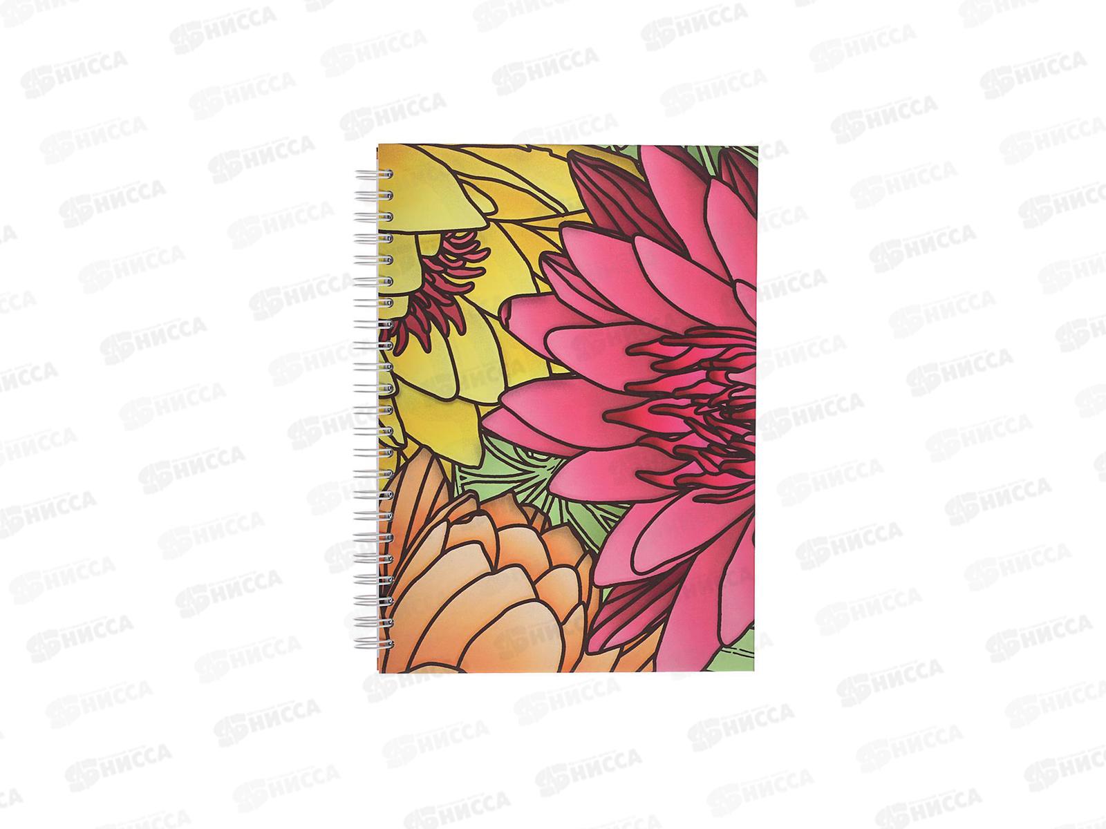 Скетчбук 60л ПЛН 140*210 Витражи 3044*60