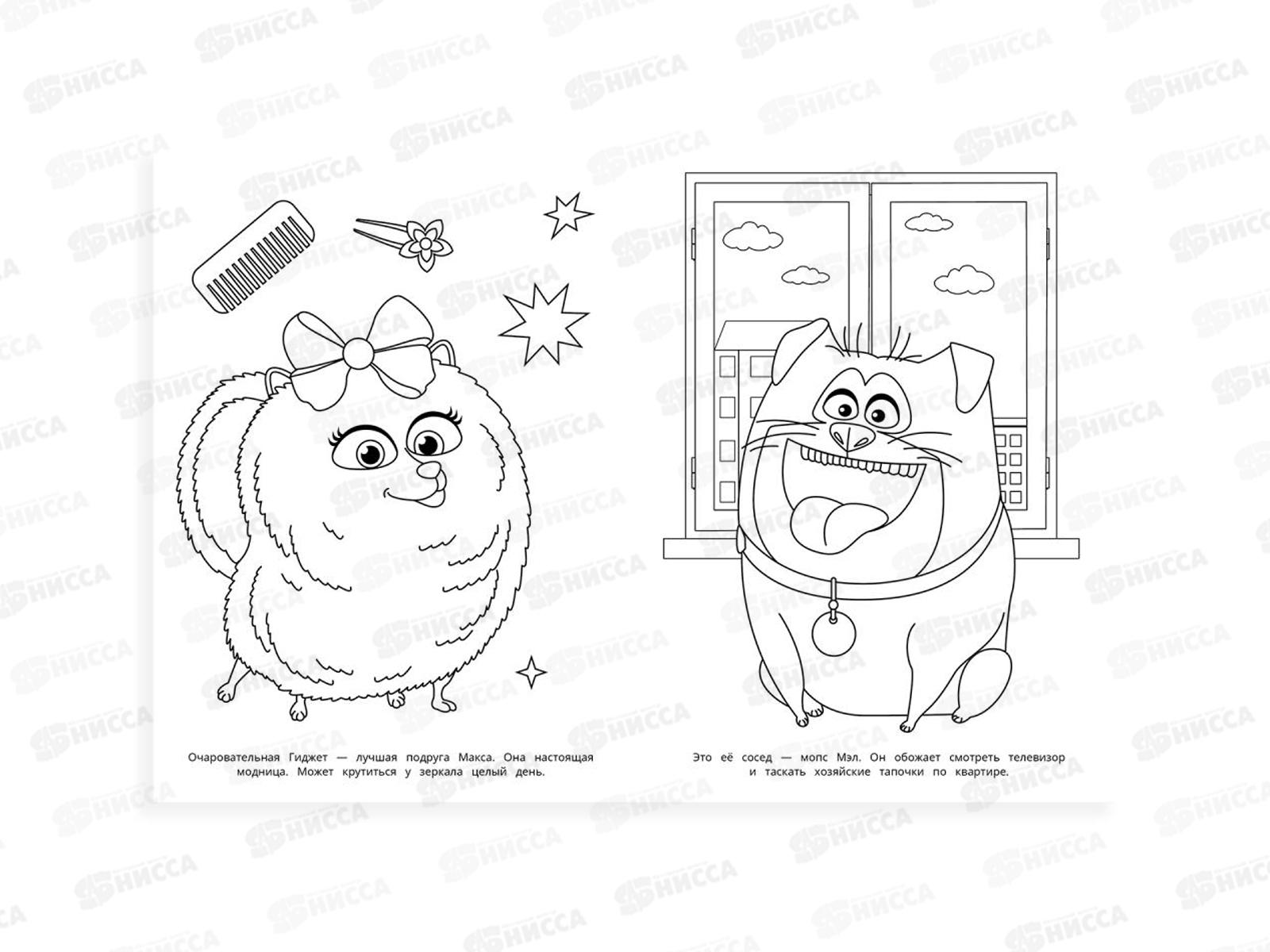 Раскраска &quotУМКА&quot 10659-3, Секреты питомцев, 214х290, 16стр.  *50