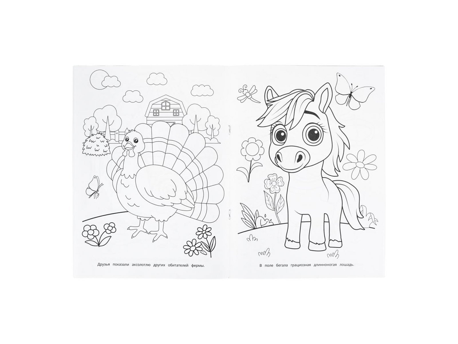 Раскраска &quotУМКА&quot 11267-9, Необычный гость, 214х290мм 16стр.*50